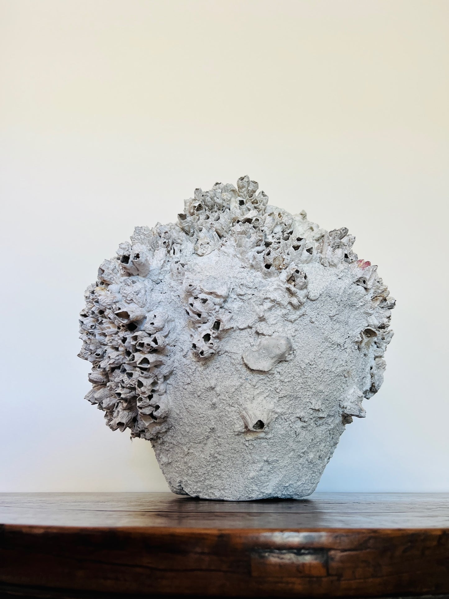 Round Barnacle Pot