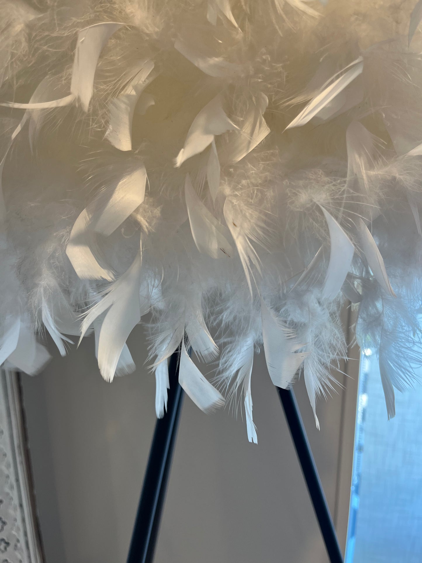 Elegant Feather Floor Lamp