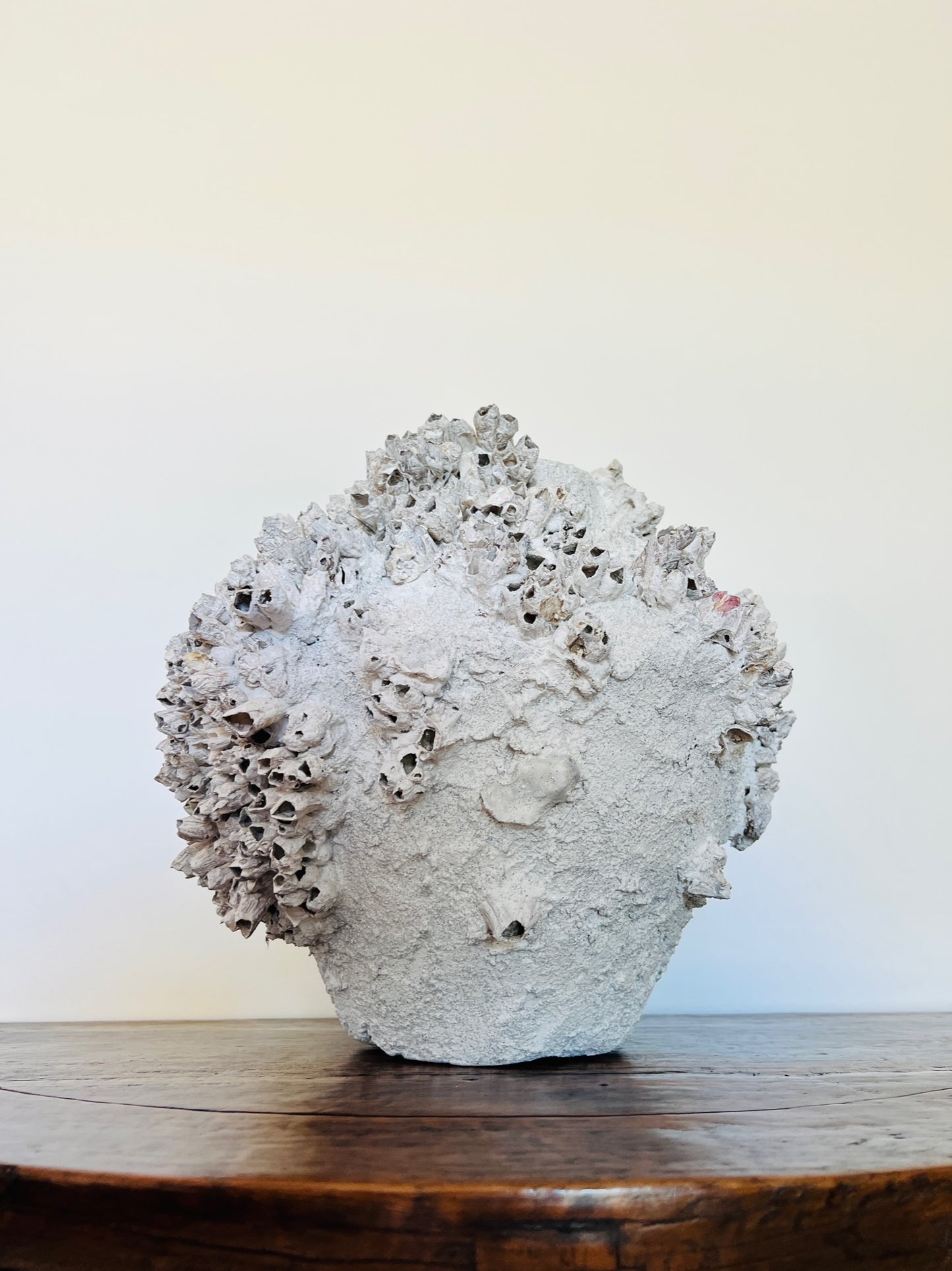 Round Barnacle Pot