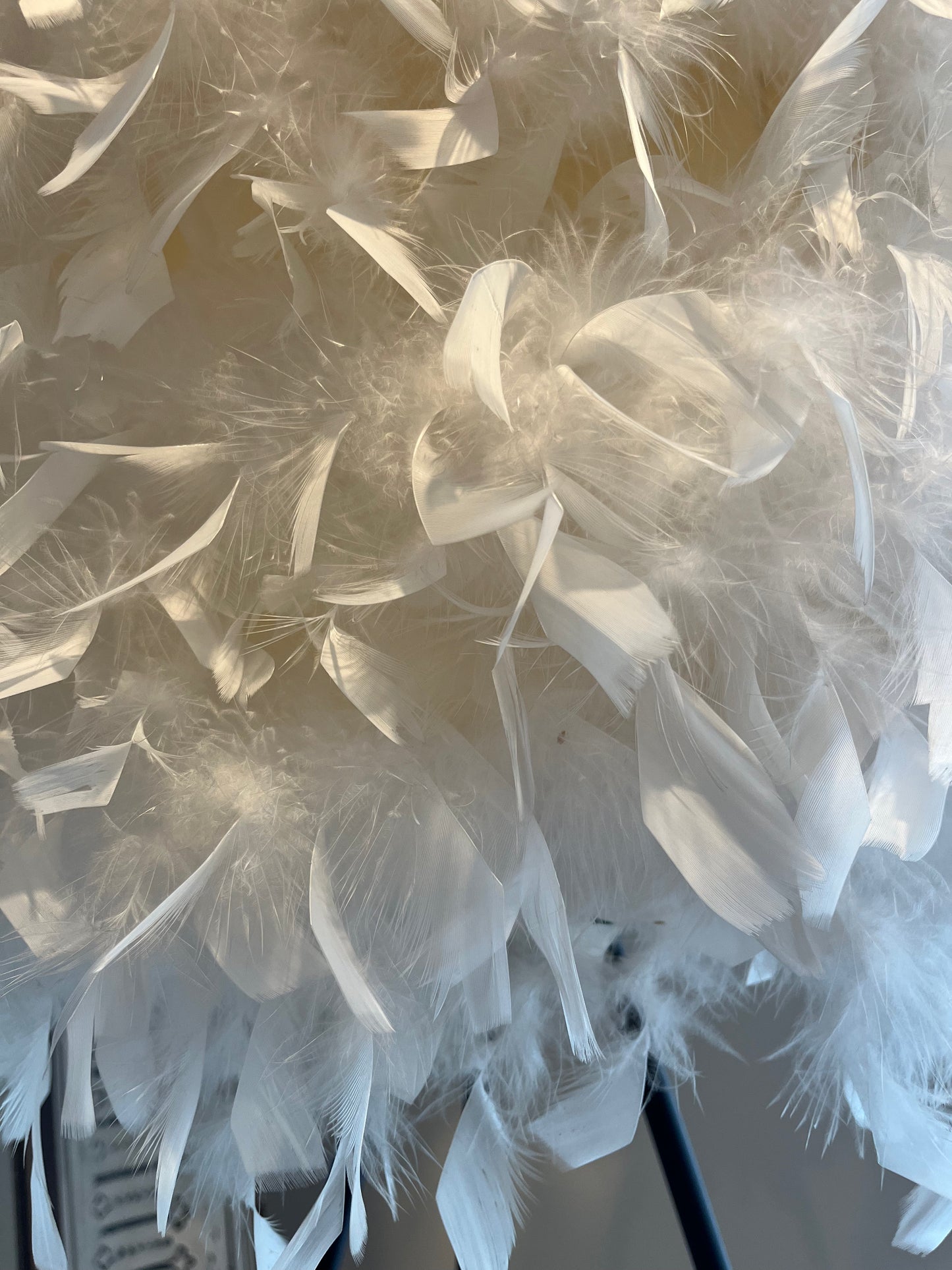 Elegant Feather Floor Lamp