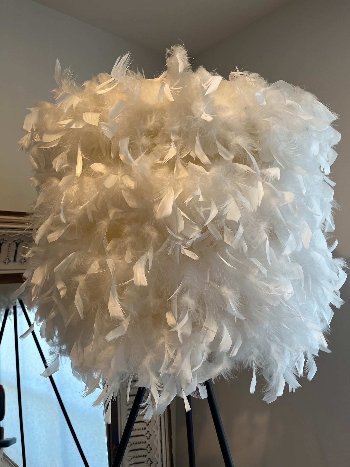 Elegant Feather Floor Lamp