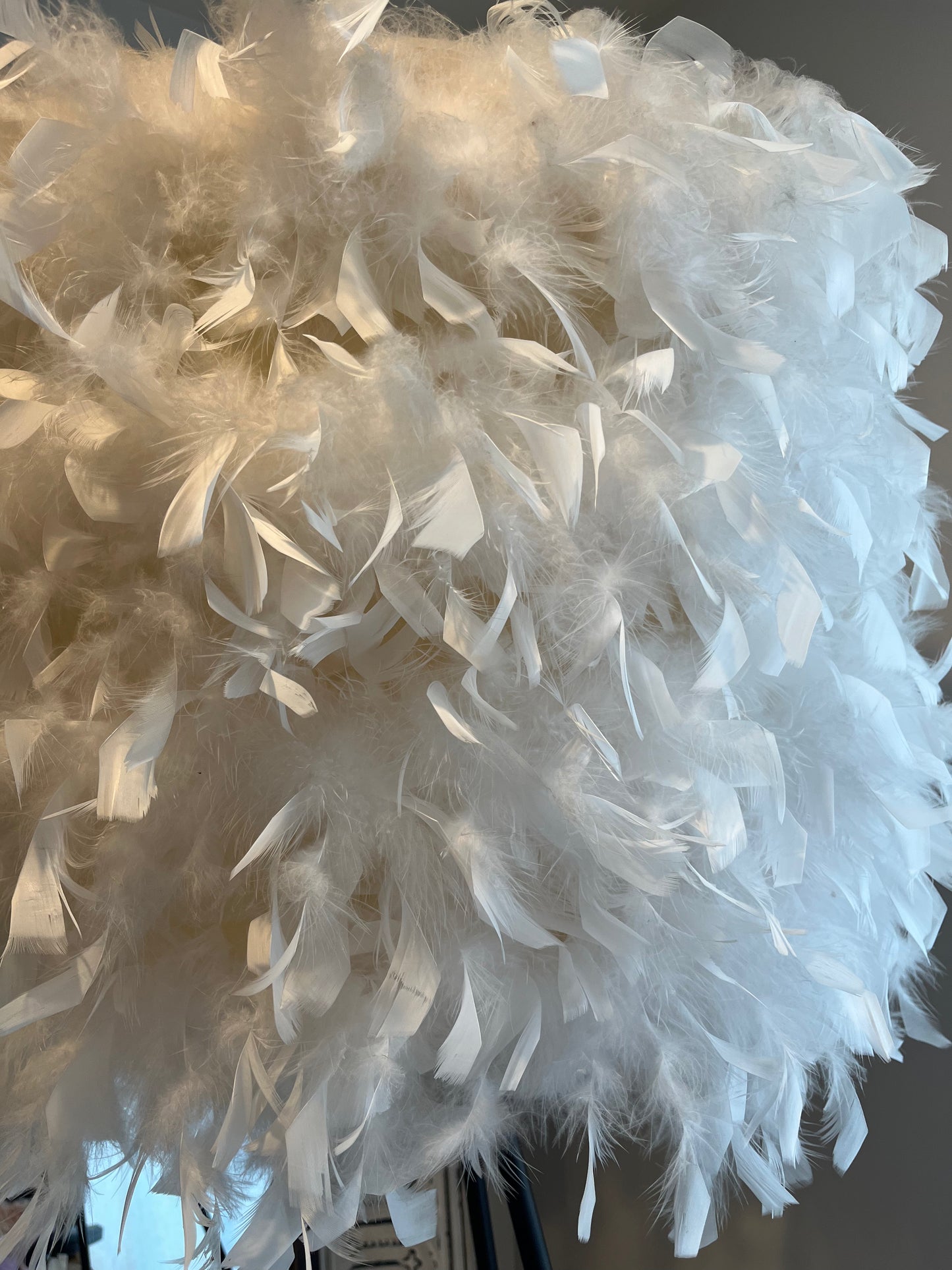 Elegant Feather Floor Lamp