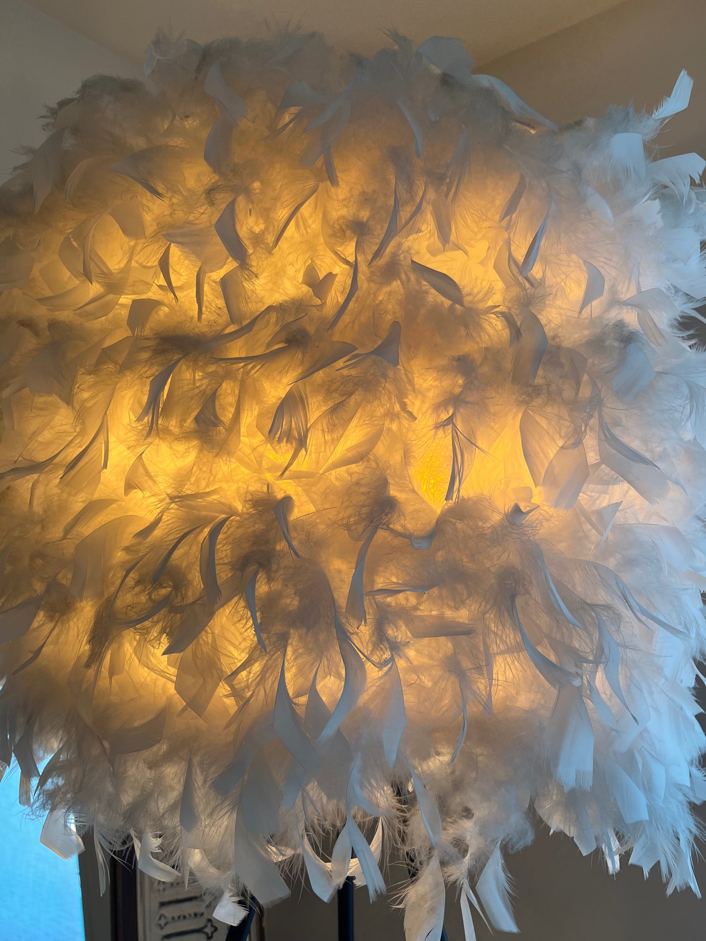 Elegant Feather Floor Lamp