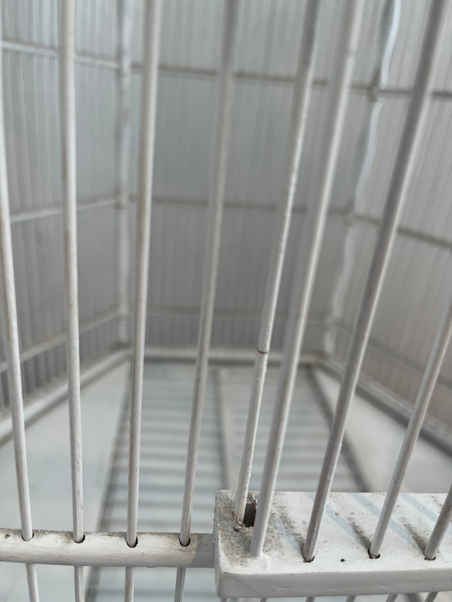 Lovely White Decorative Birdcage