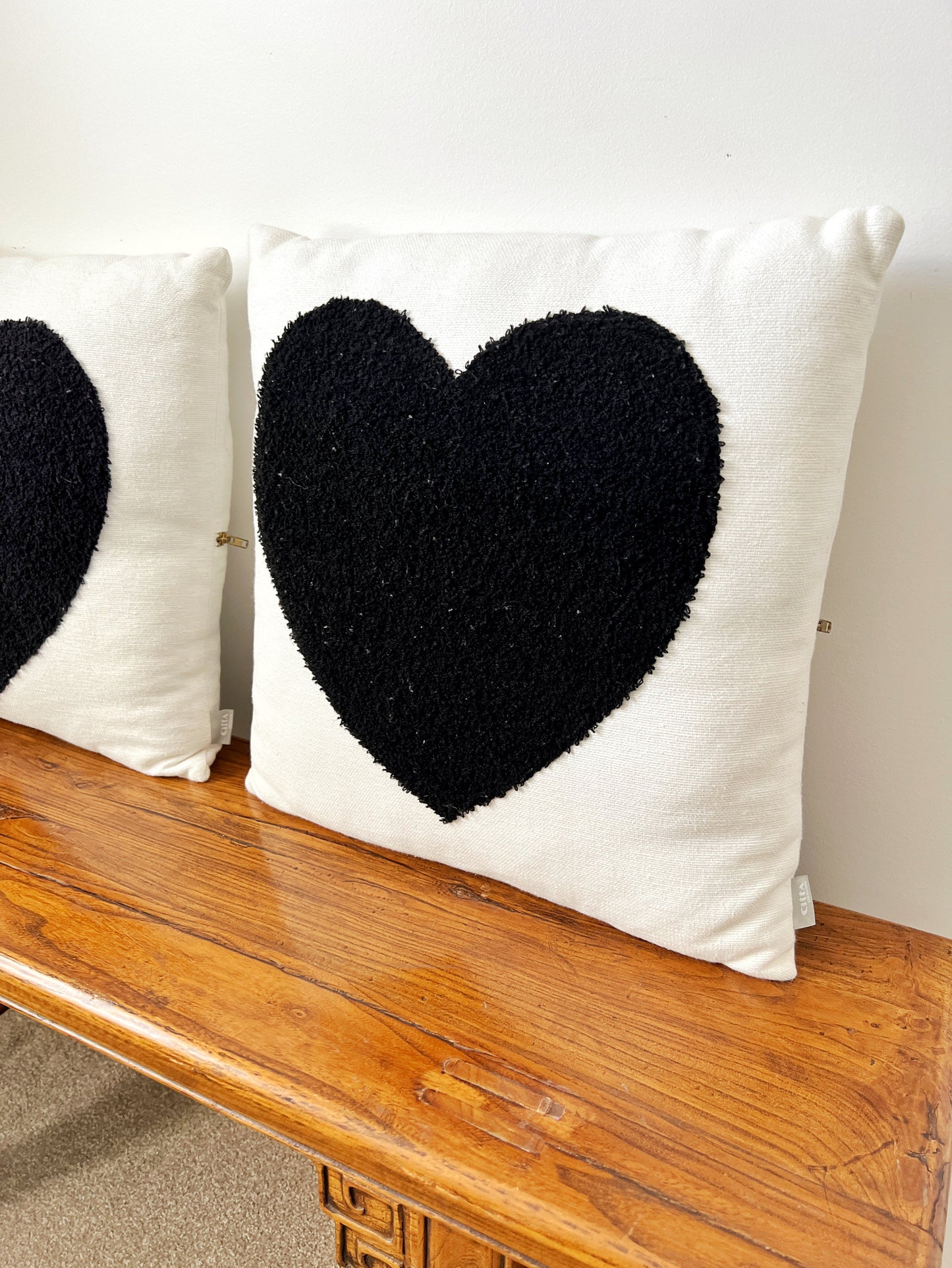 Pair of Citta Cushions