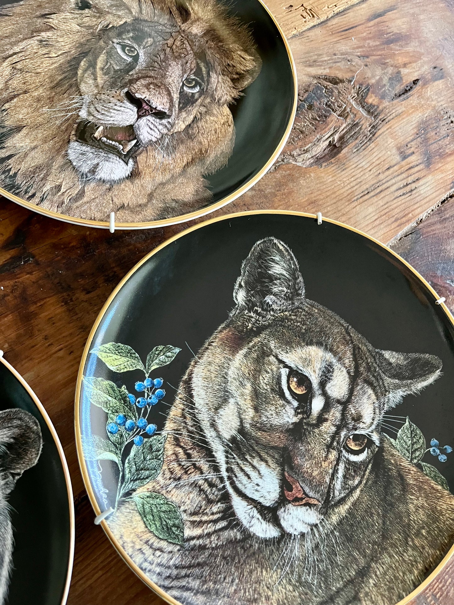 Limited Edition Royal Doulton Big Cat Plates x 5