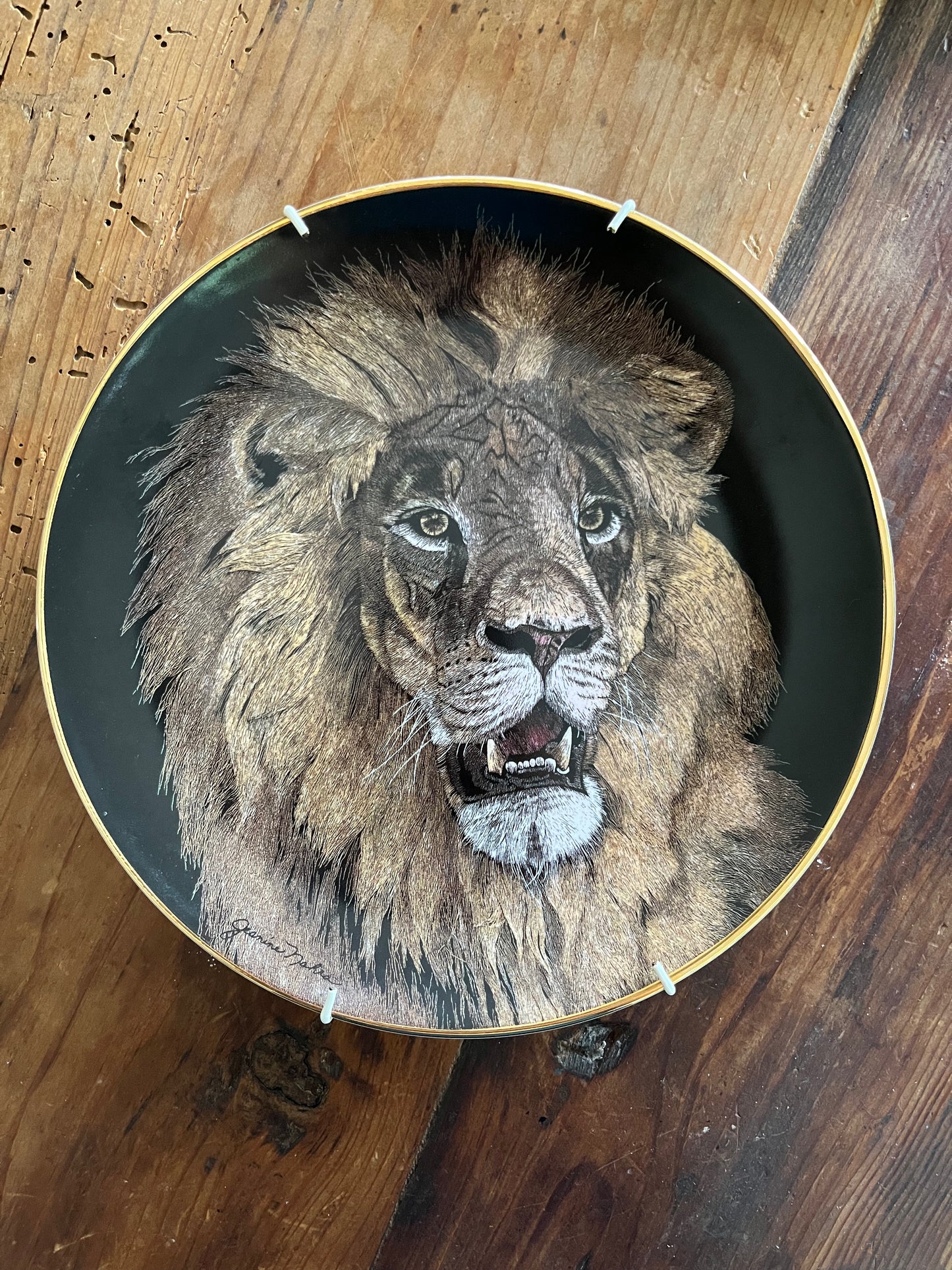 Limited Edition Royal Doulton Big Cat Plates x 5