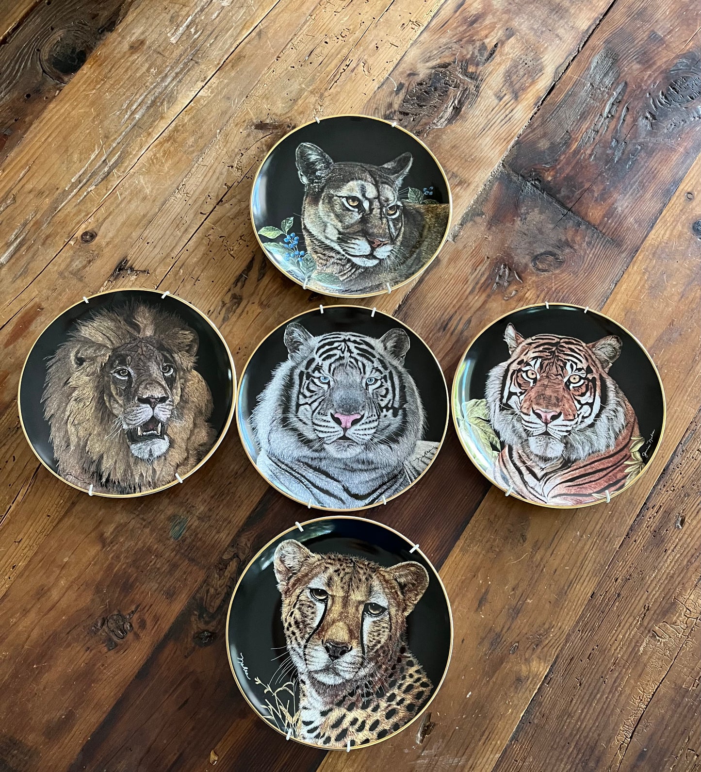 Limited Edition Royal Doulton Big Cat Plates x 5
