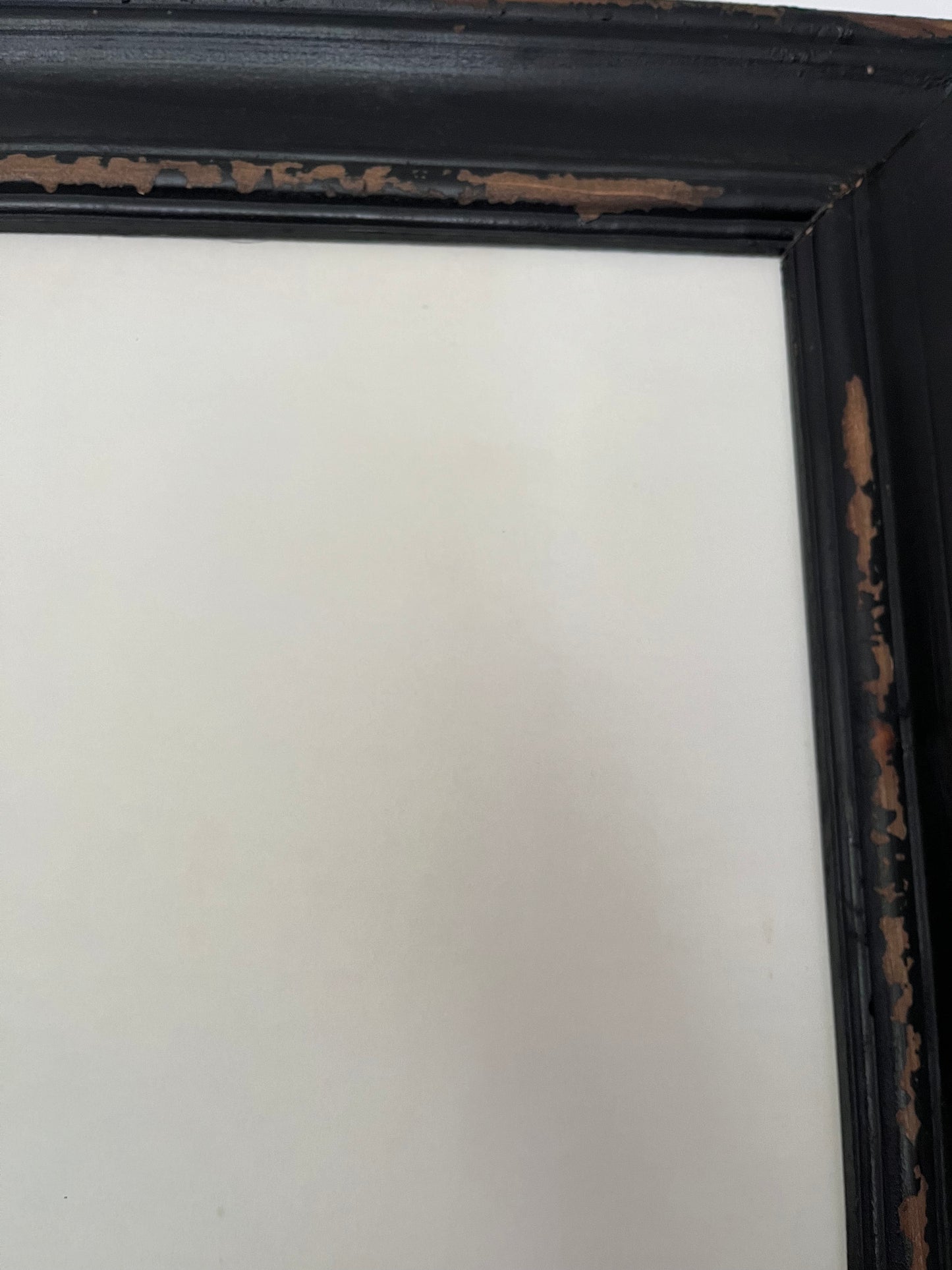 Beautiful Pair of Framed Bird Prints