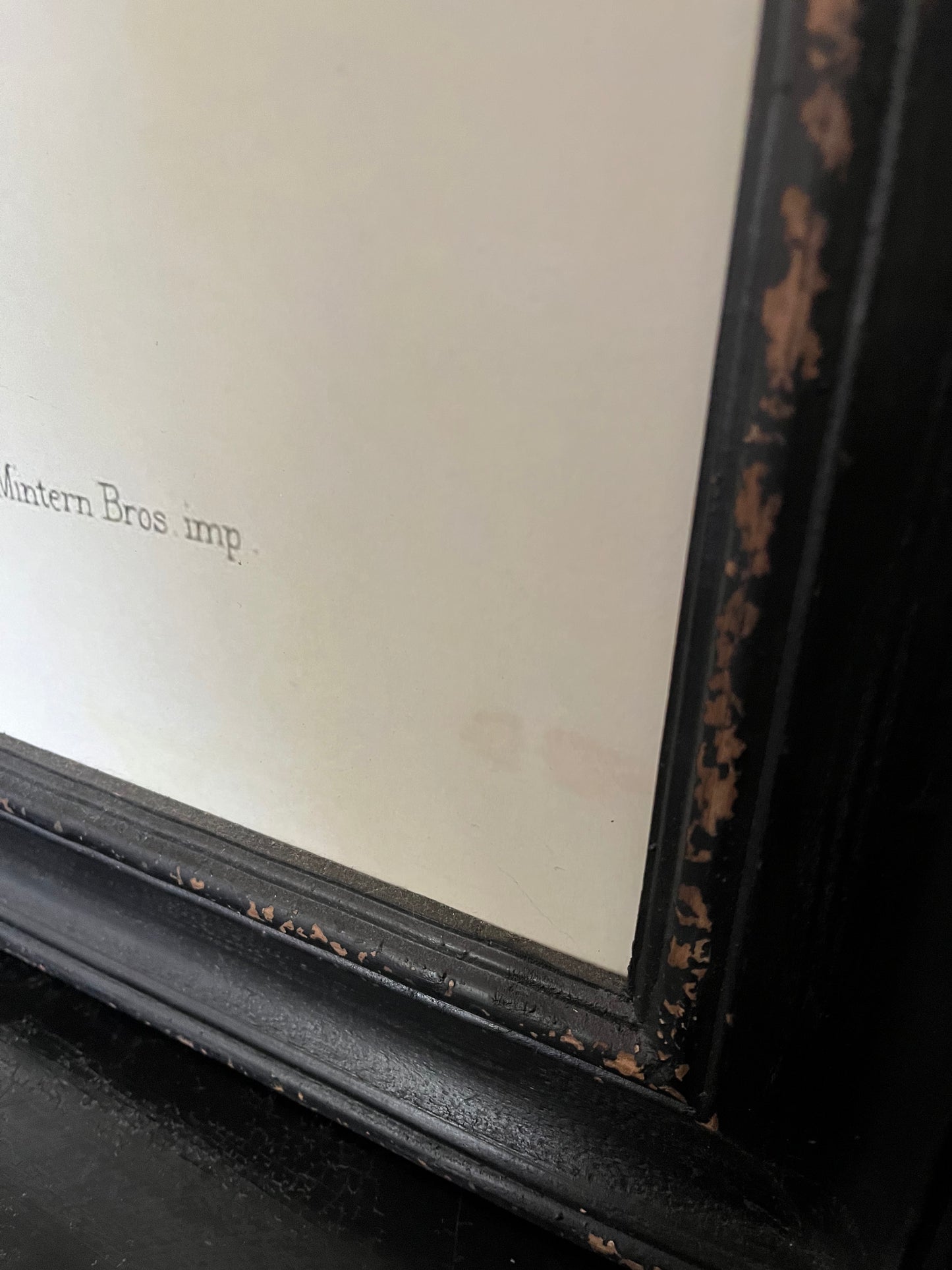 Beautiful Pair of Framed Bird Prints