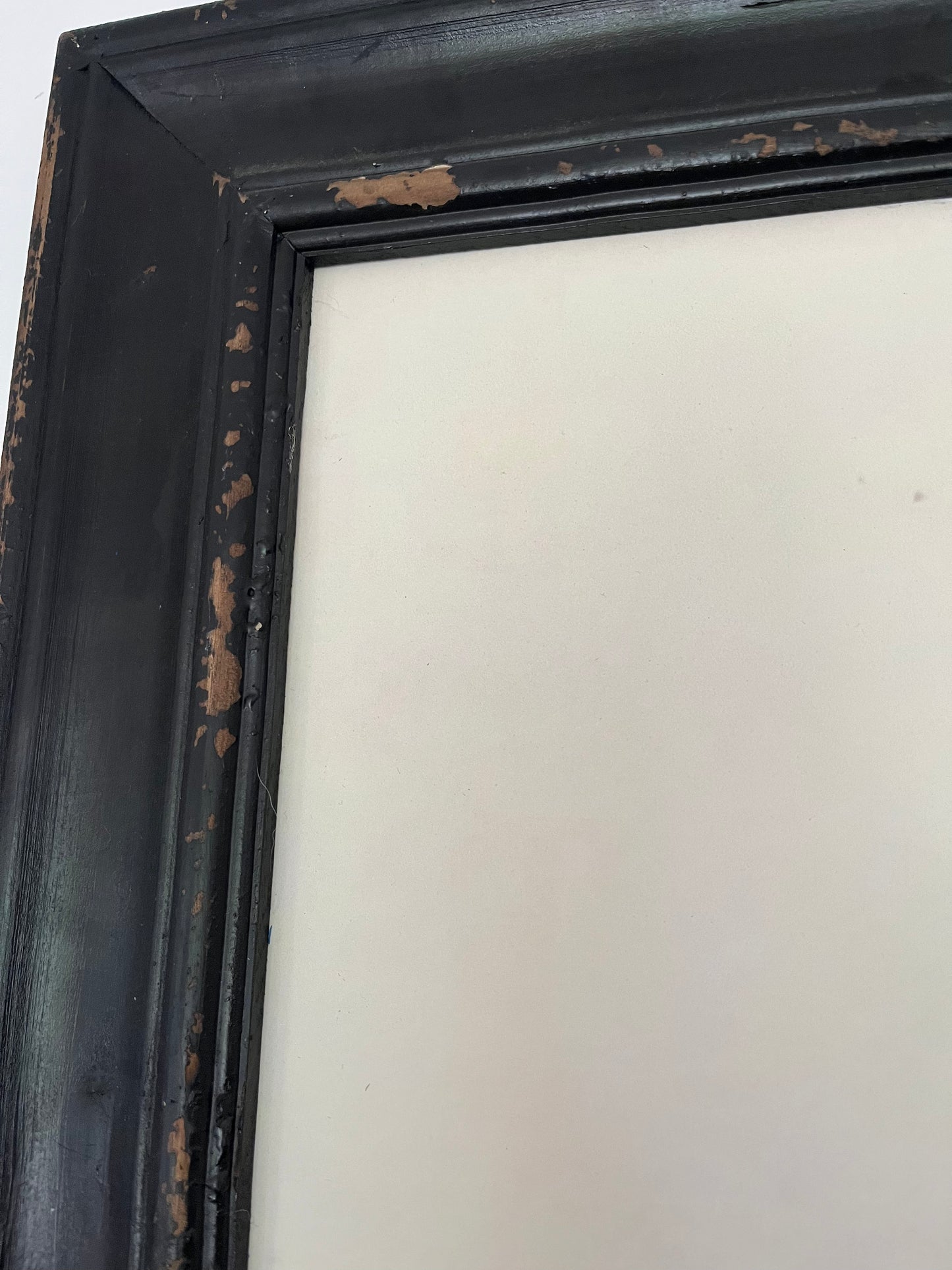 Beautiful Pair of Framed Bird Prints
