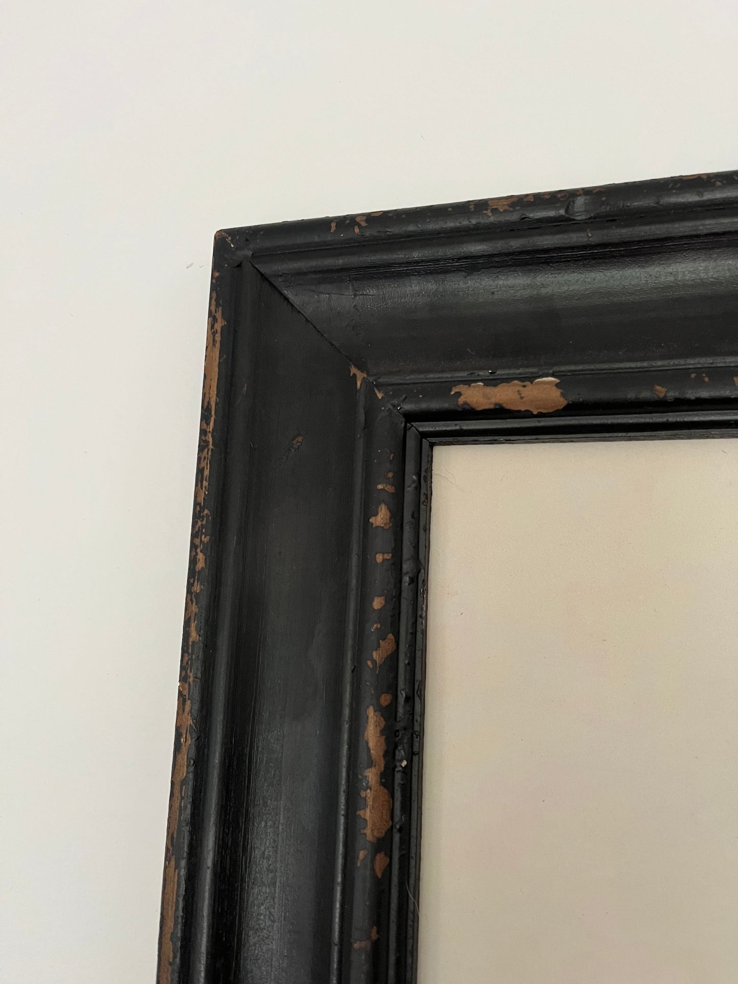 Beautiful Pair of Framed Bird Prints