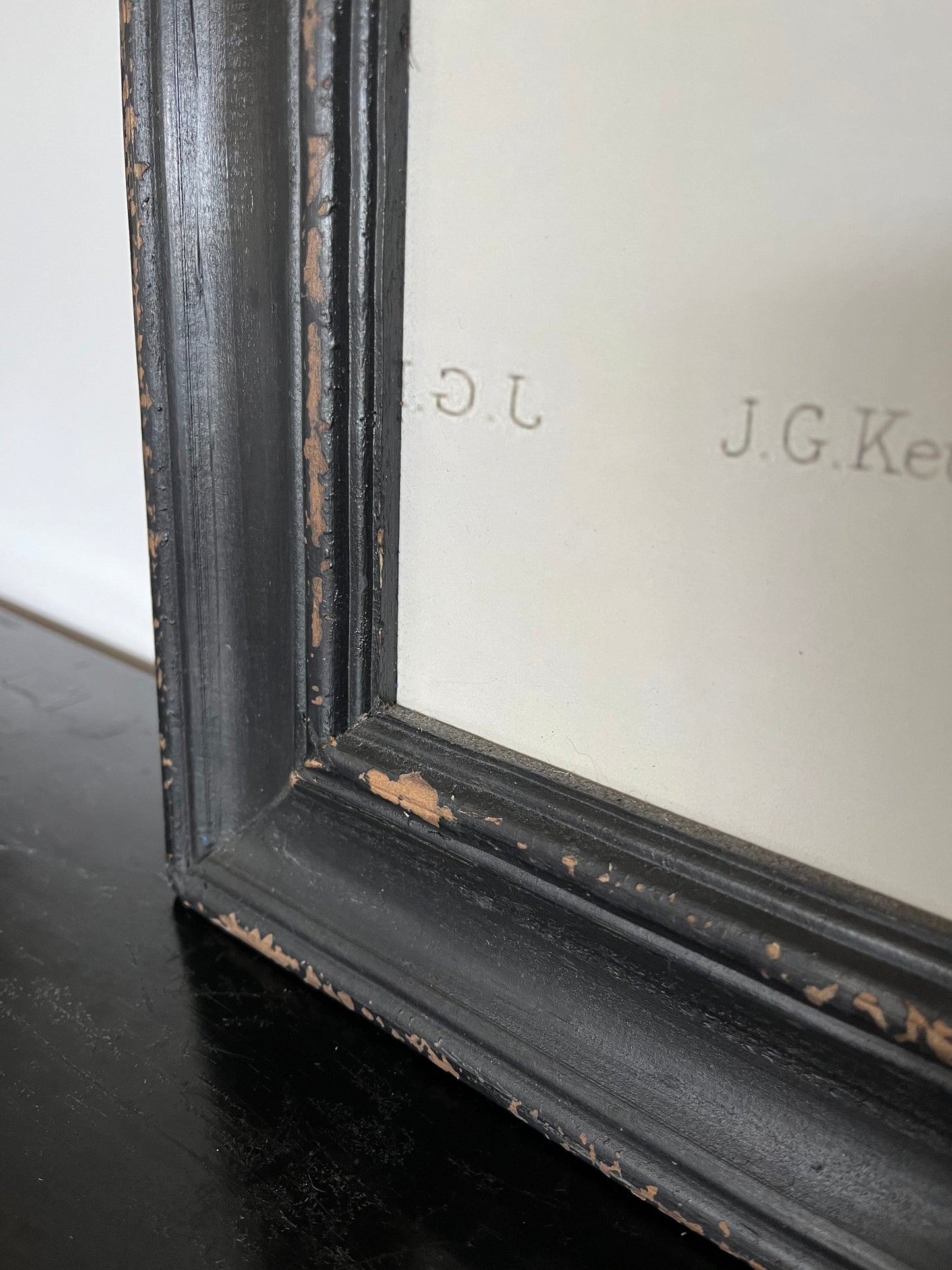 Beautiful Pair of Framed Bird Prints