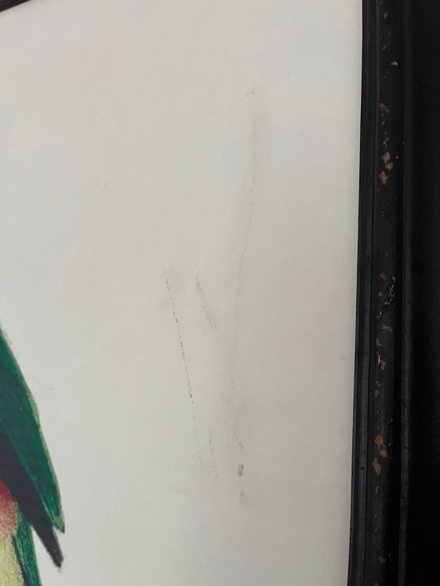 Beautiful Pair of Framed Bird Prints