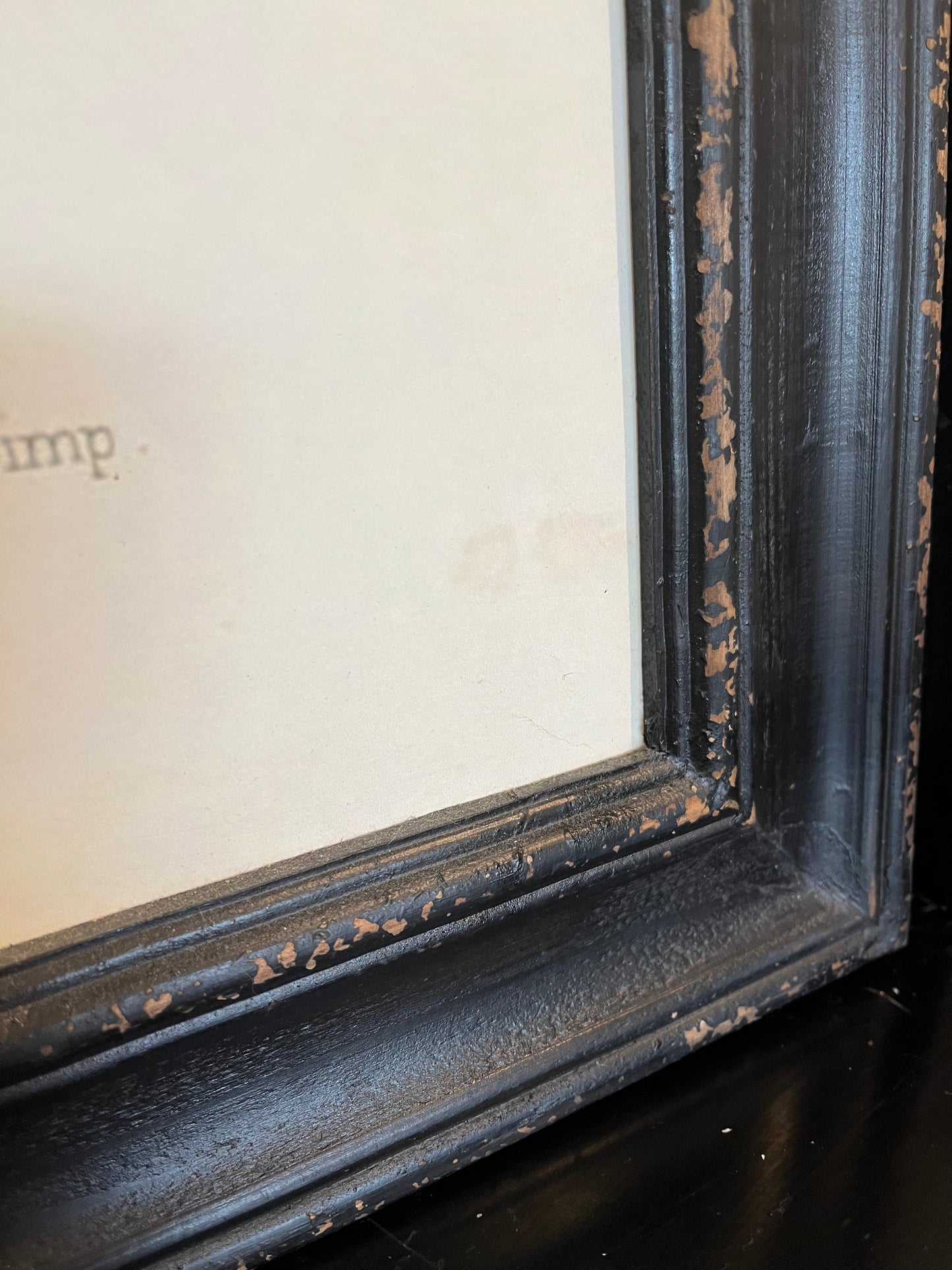 Beautiful Pair of Framed Bird Prints