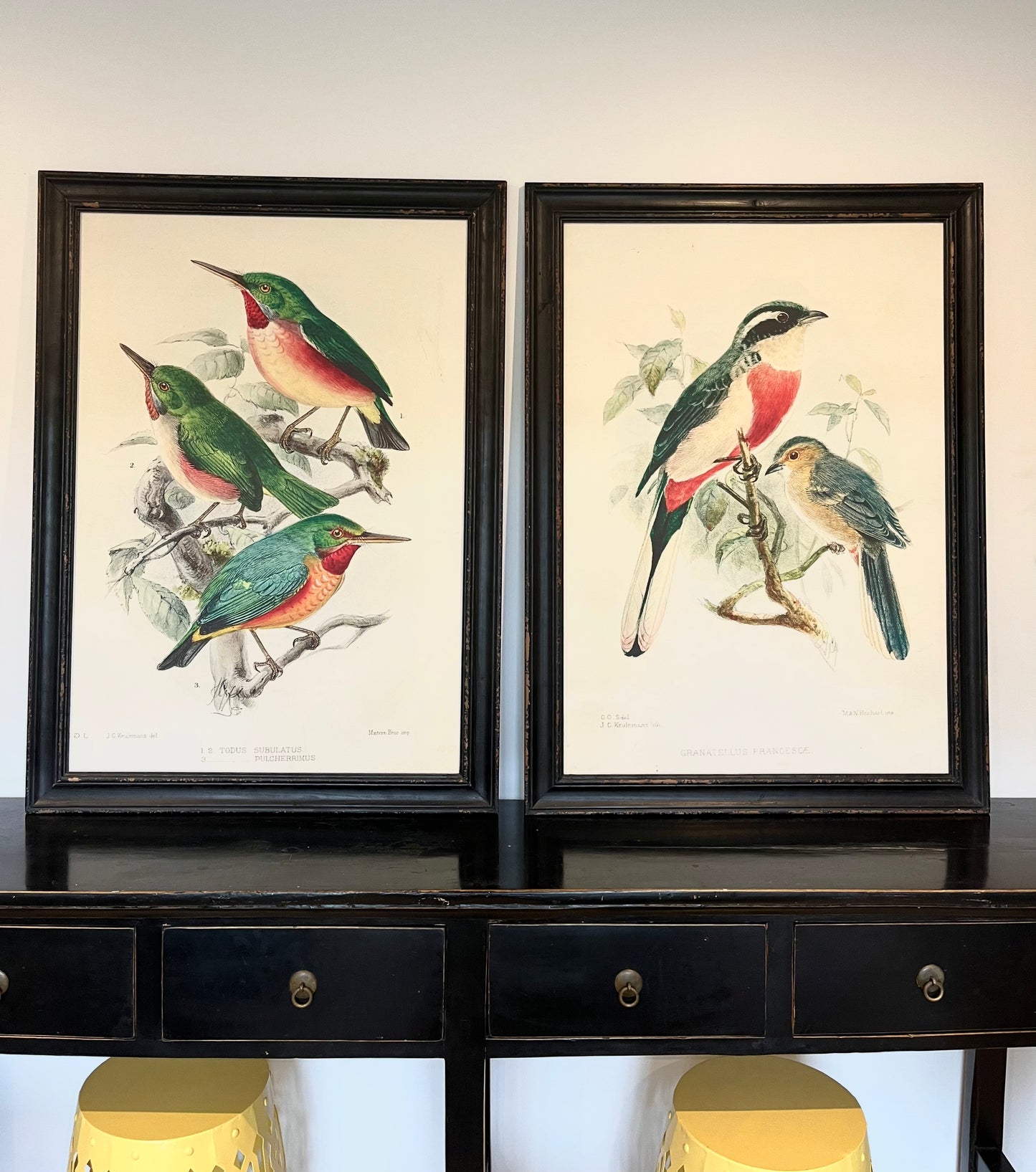 Beautiful Pair of Framed Bird Prints