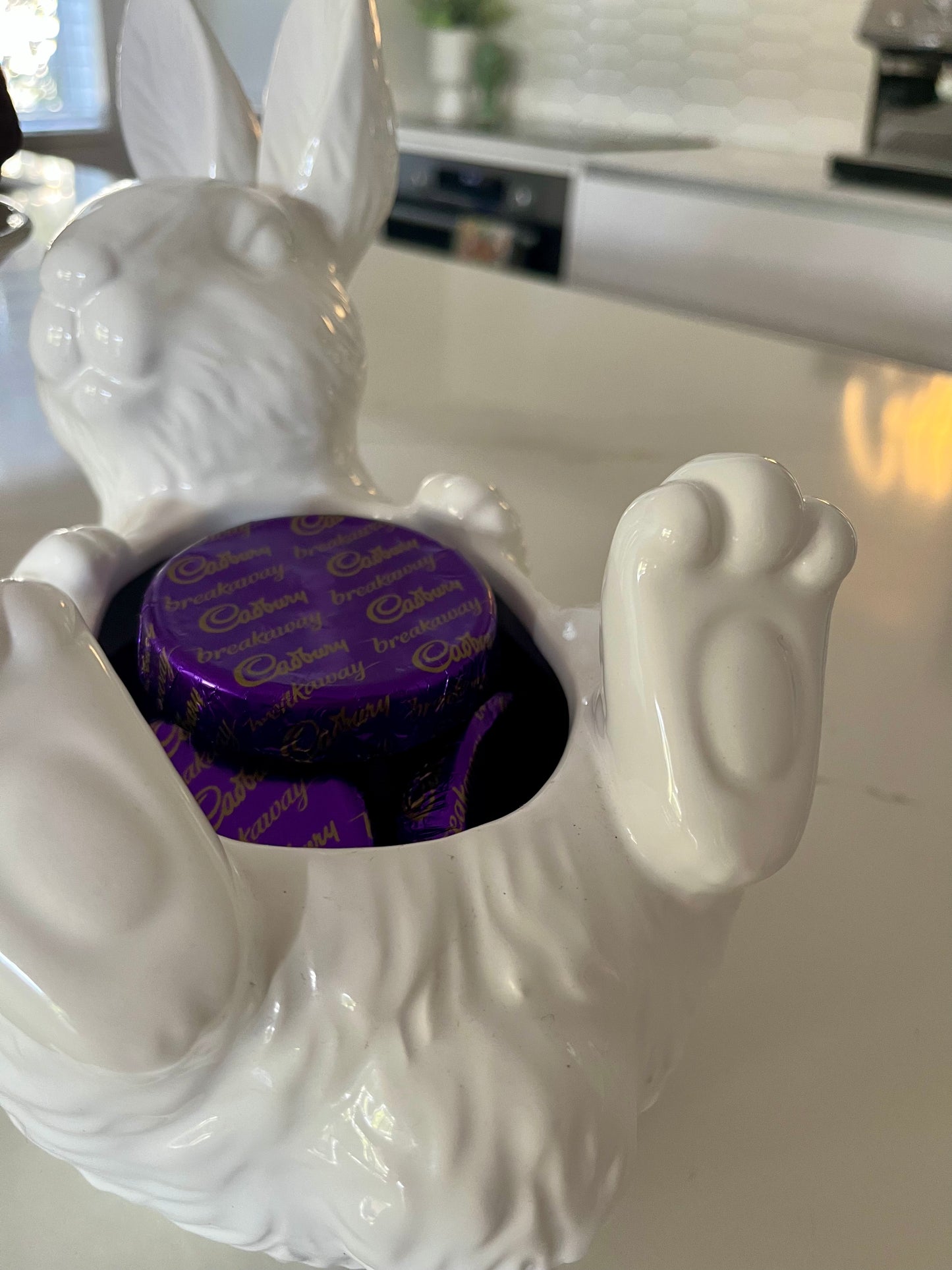 Bunny Decor Pair