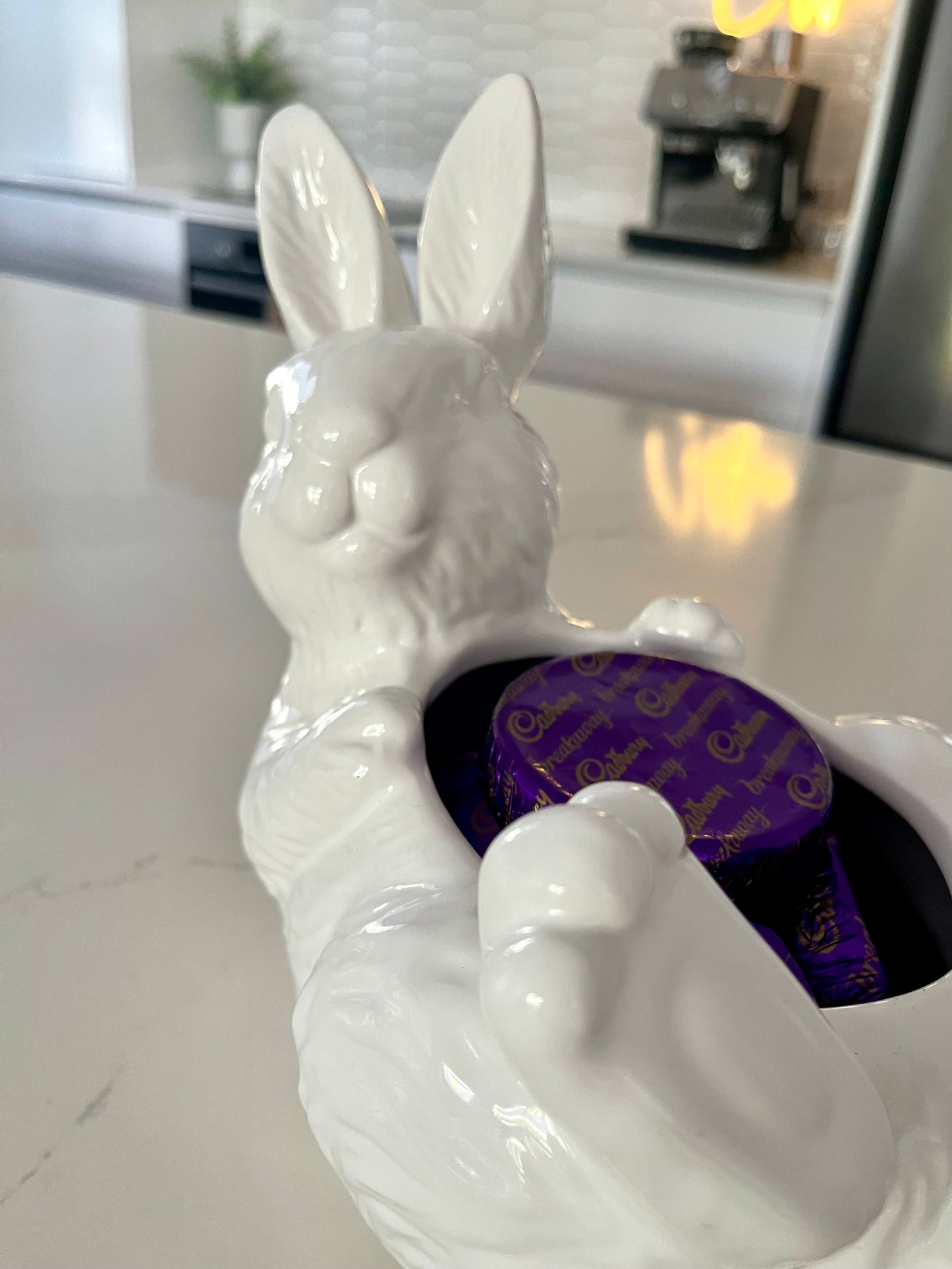 Bunny Decor Pair