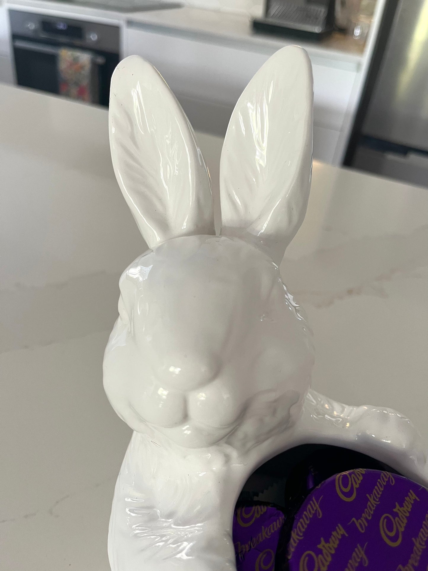 Bunny Decor Pair