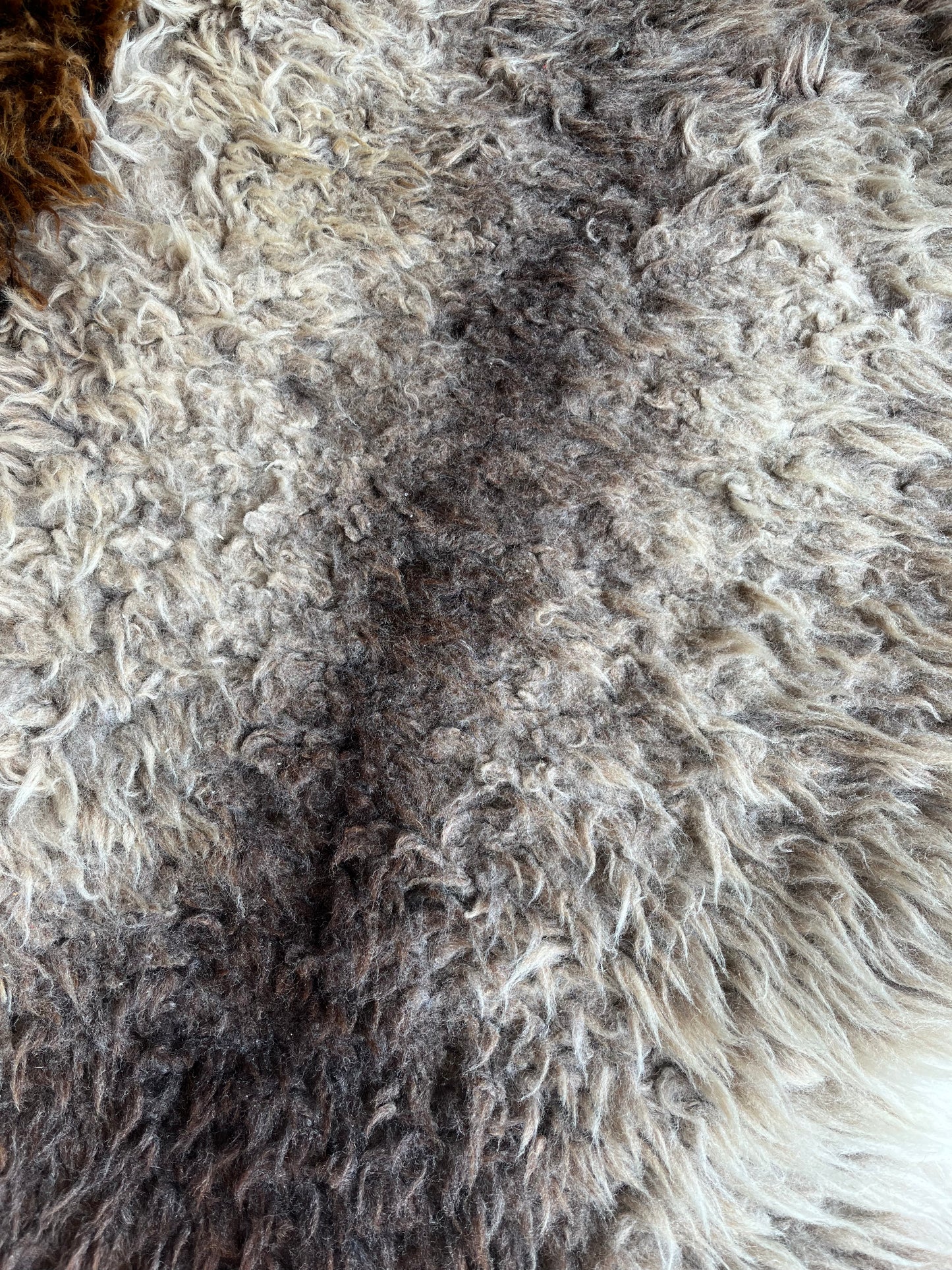 Brown and Beautiful Sheepskin Rug