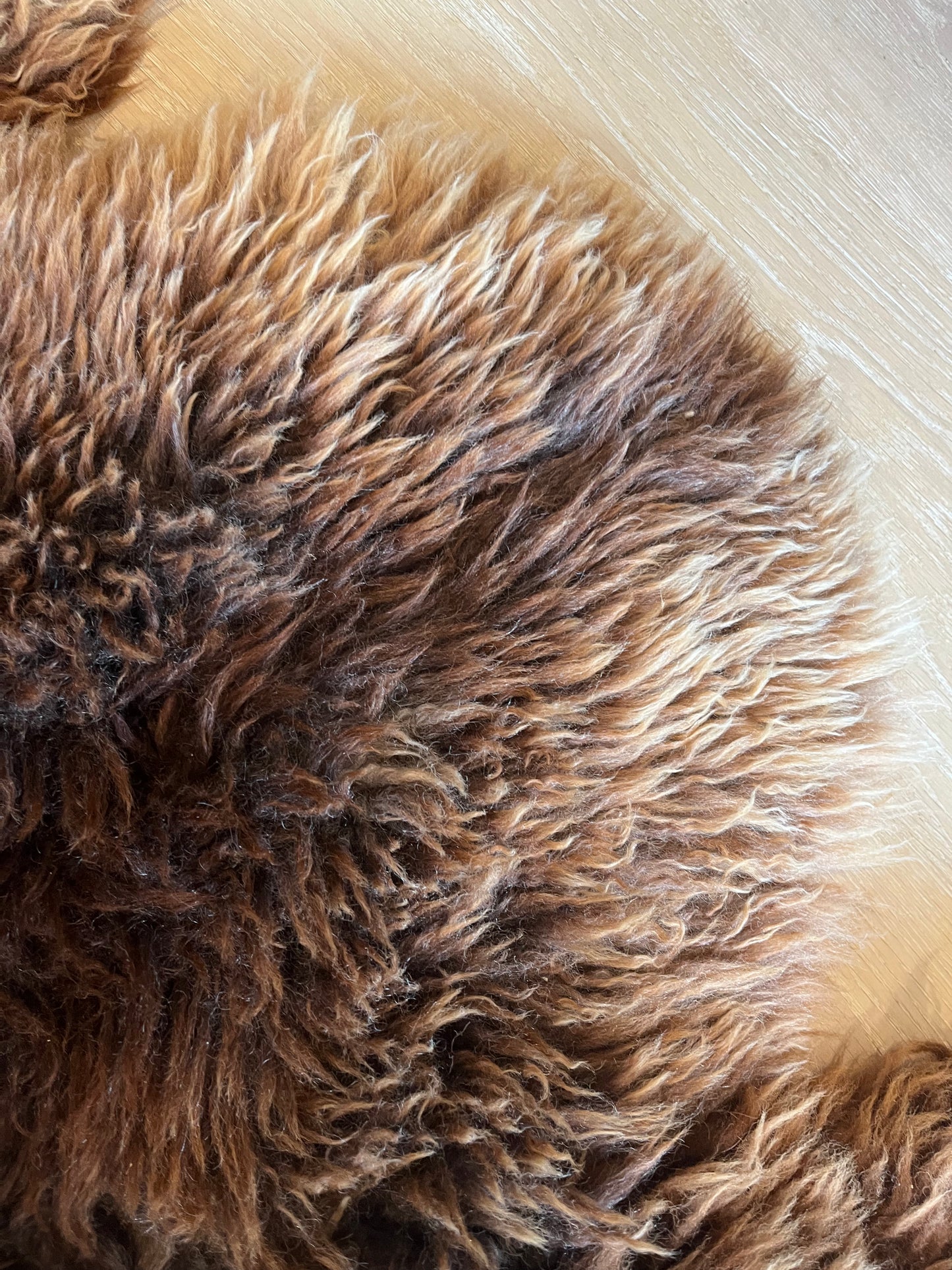 Brown and Beautiful Sheepskin Rug