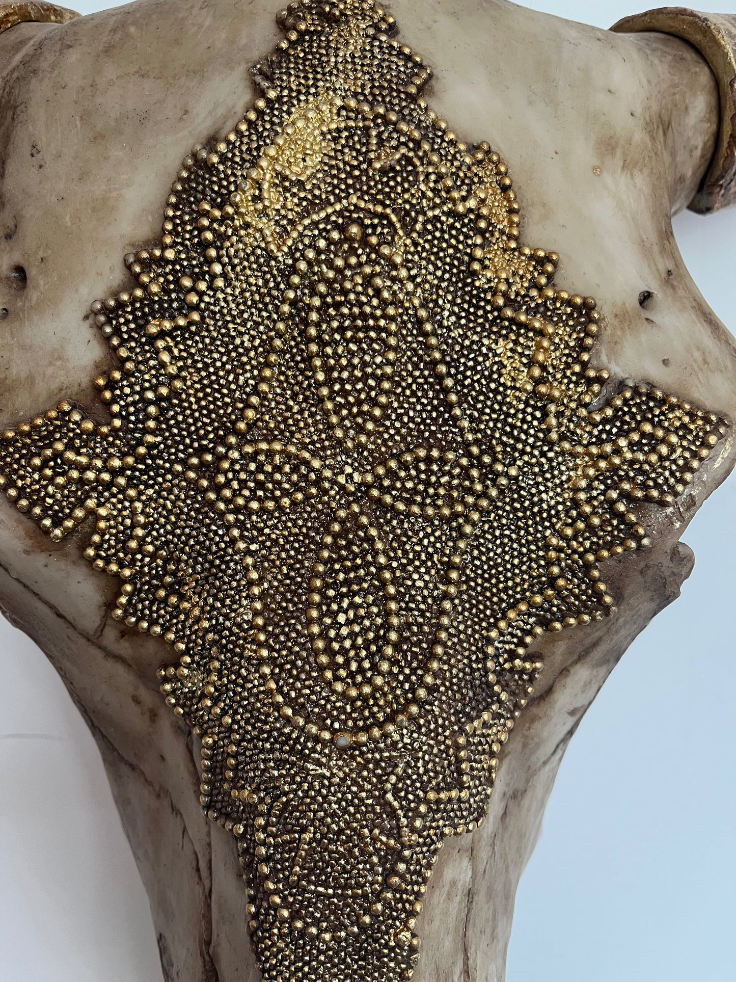 Stunning Decorative Animal Head