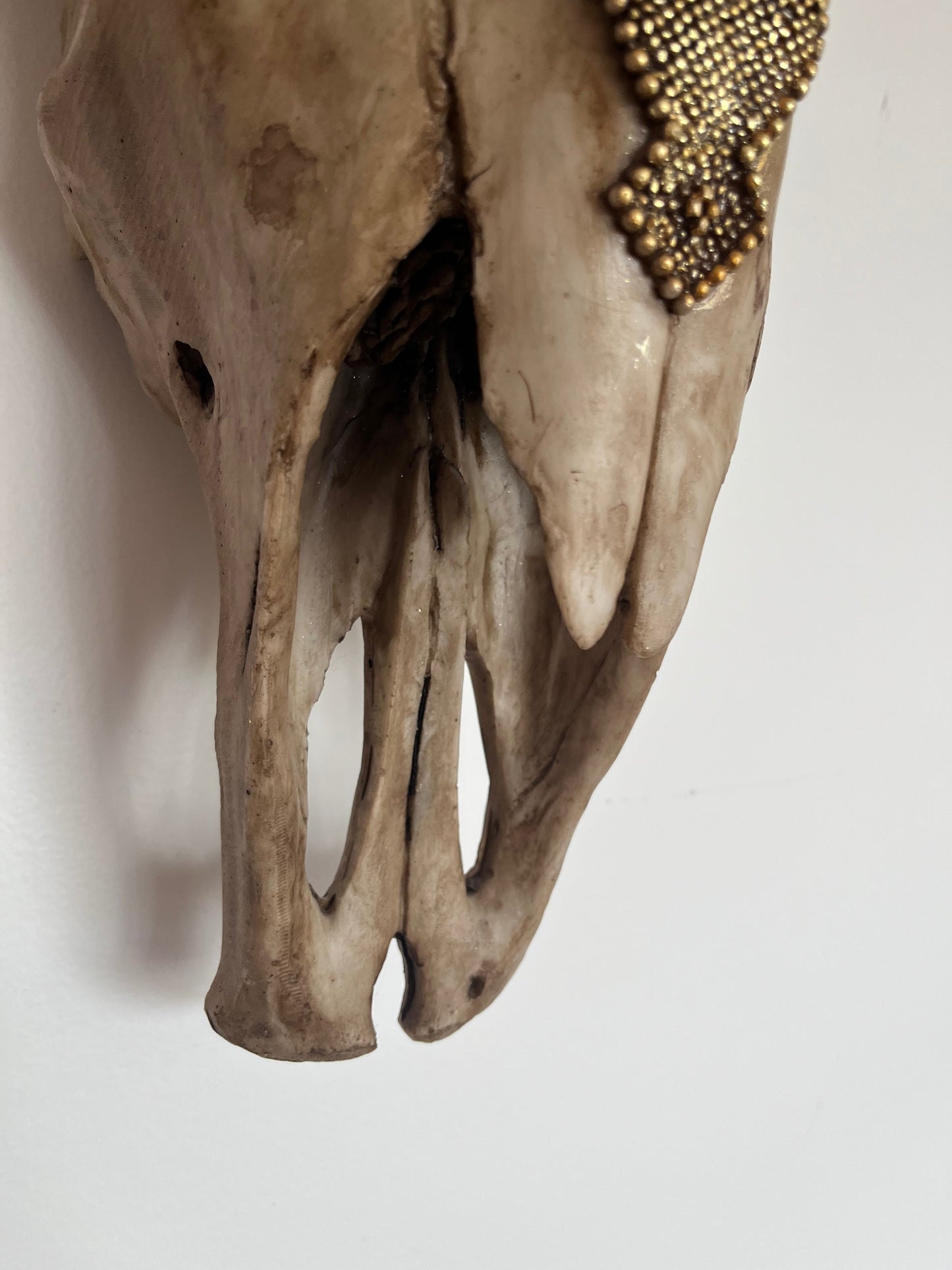 Stunning Decorative Animal Head
