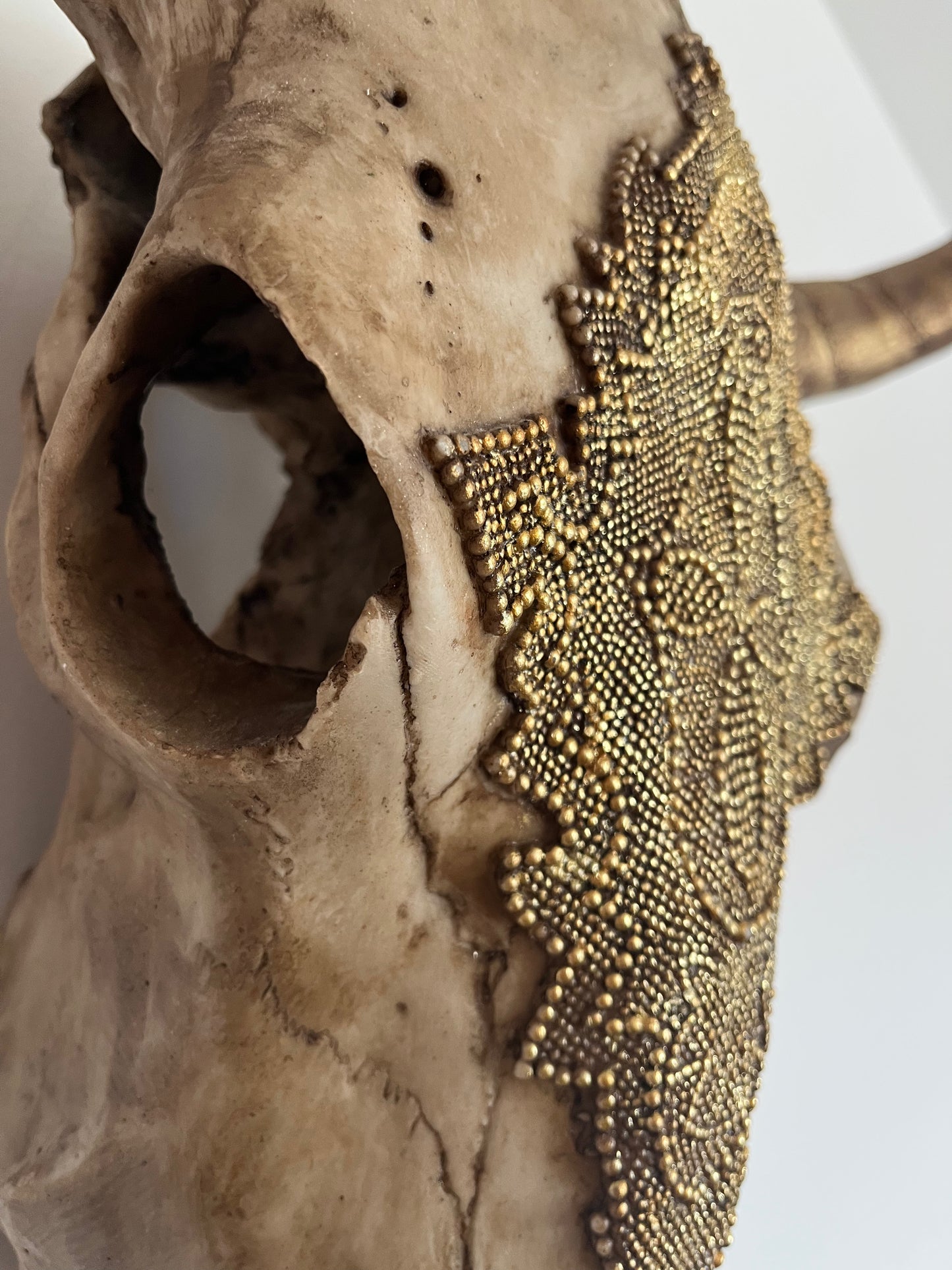 Stunning Decorative Animal Head