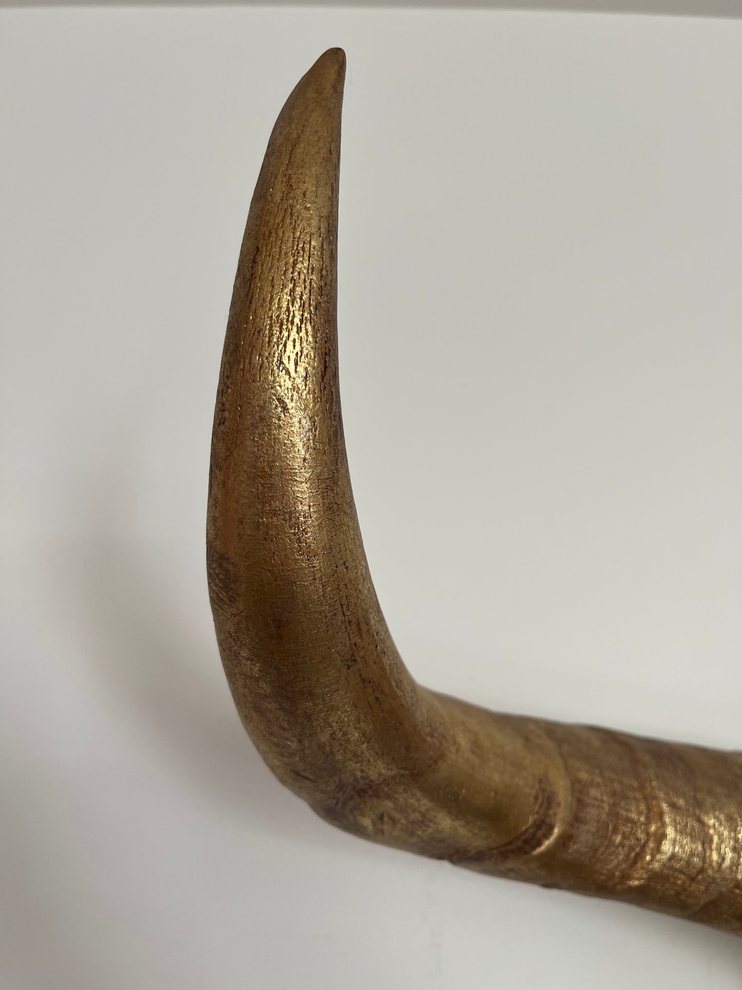 Stunning Decorative Animal Head