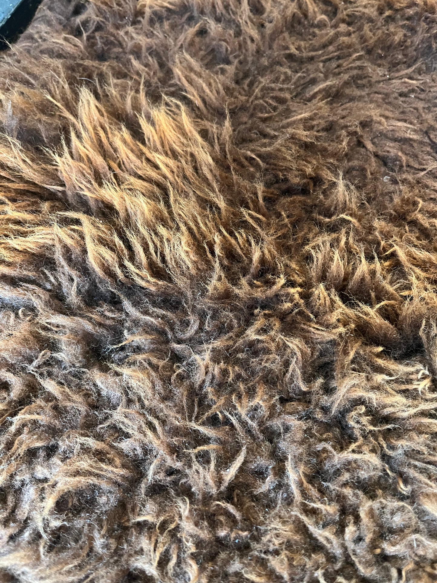 Brown and Beautiful Sheepskin Rug