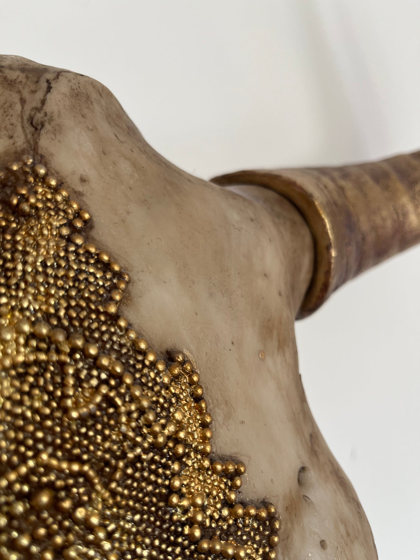Stunning Decorative Animal Head