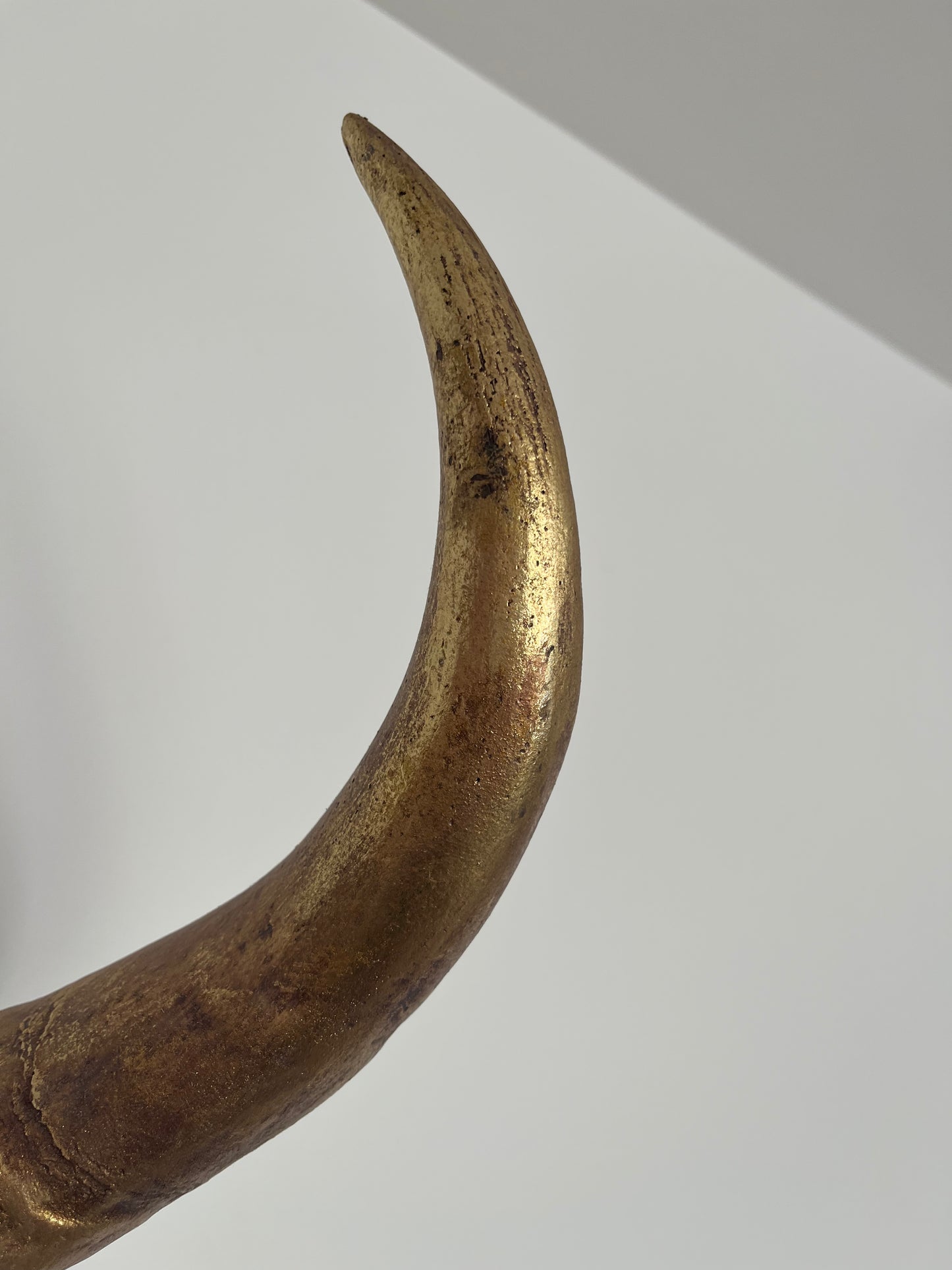 Stunning Decorative Animal Head