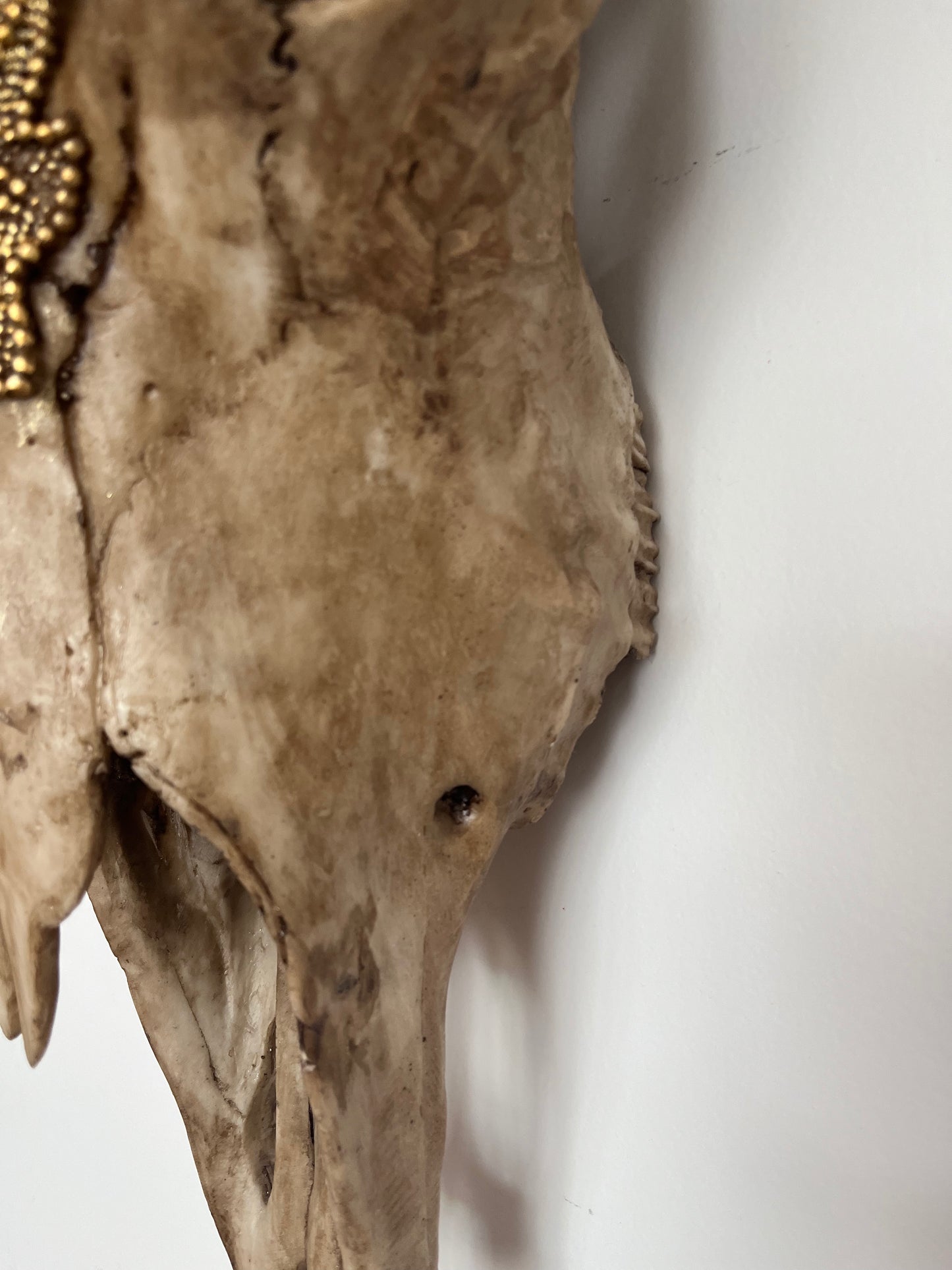 Stunning Decorative Animal Head