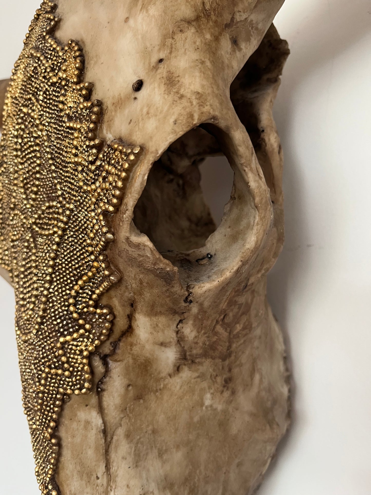 Stunning Decorative Animal Head