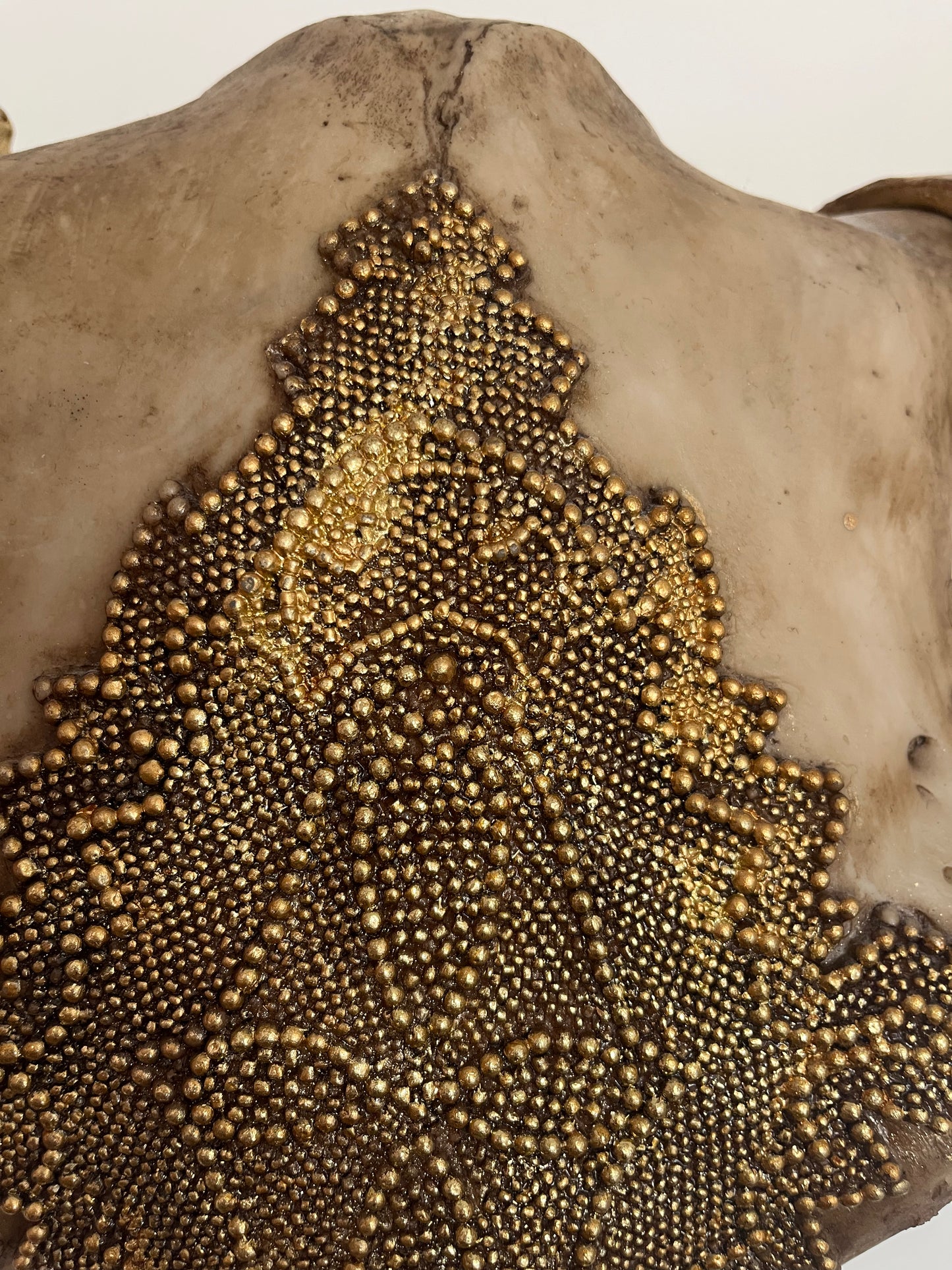 Stunning Decorative Animal Head