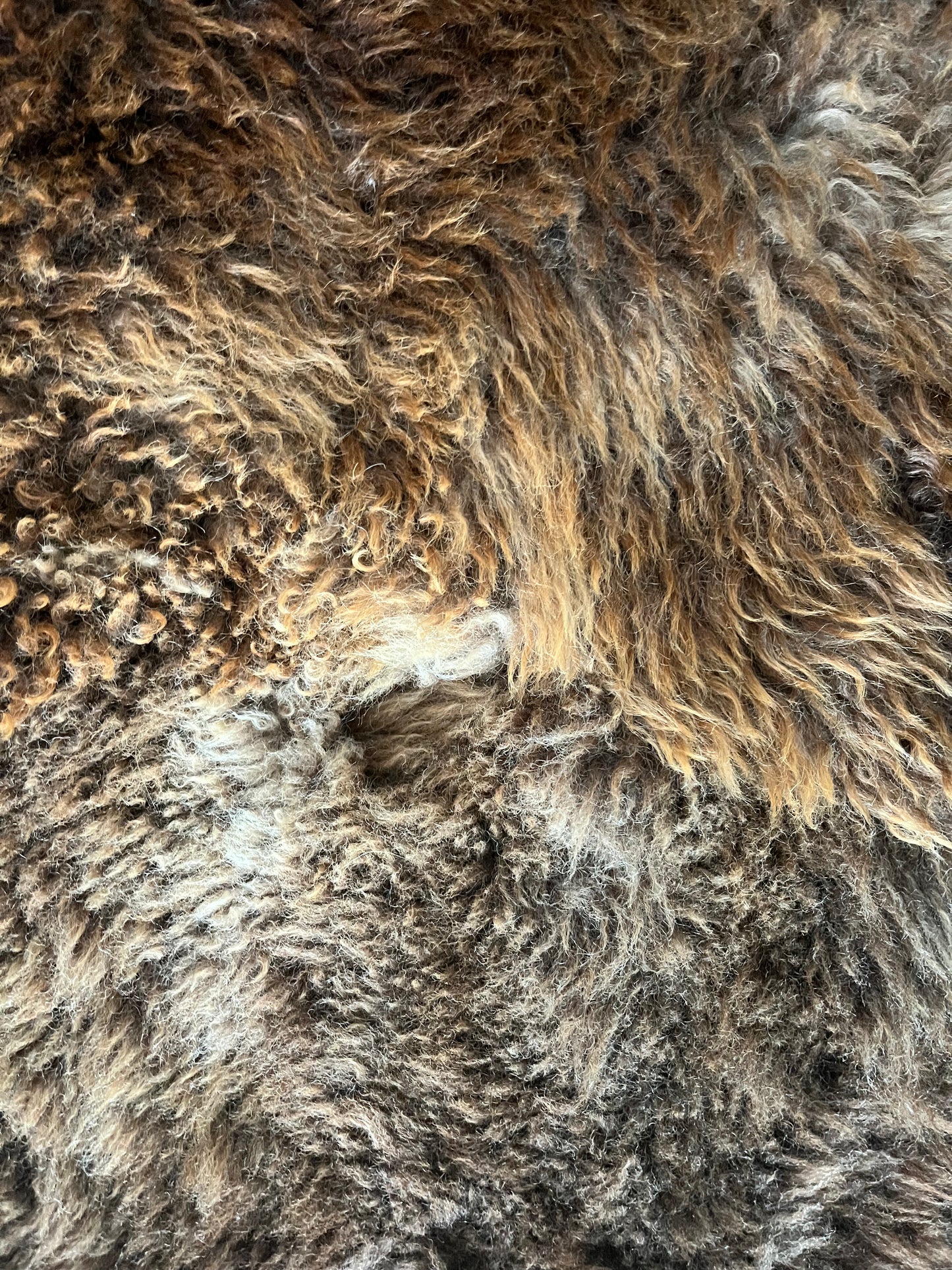 Brown and Beautiful Sheepskin Rug