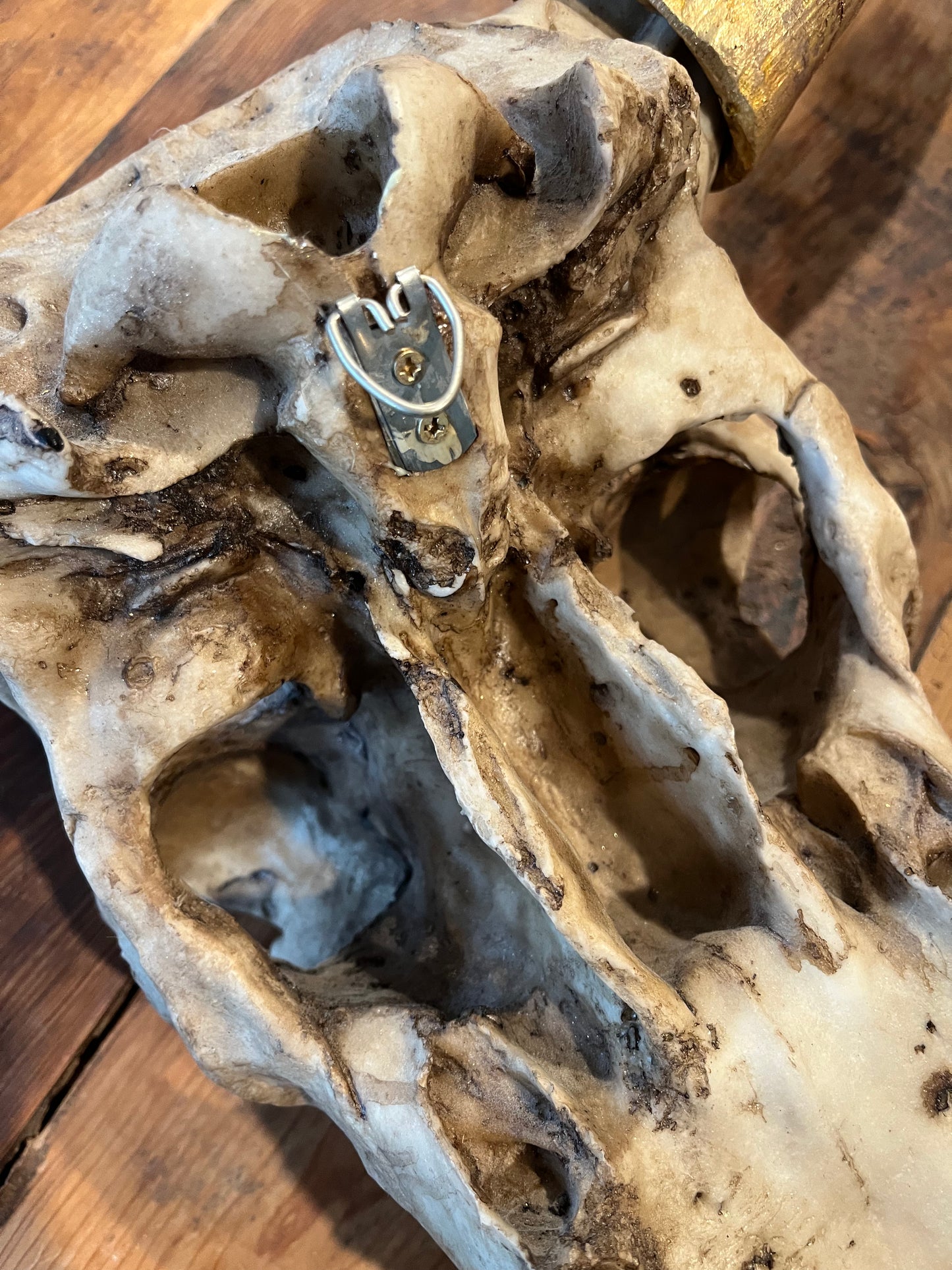 Stunning Decorative Animal Head