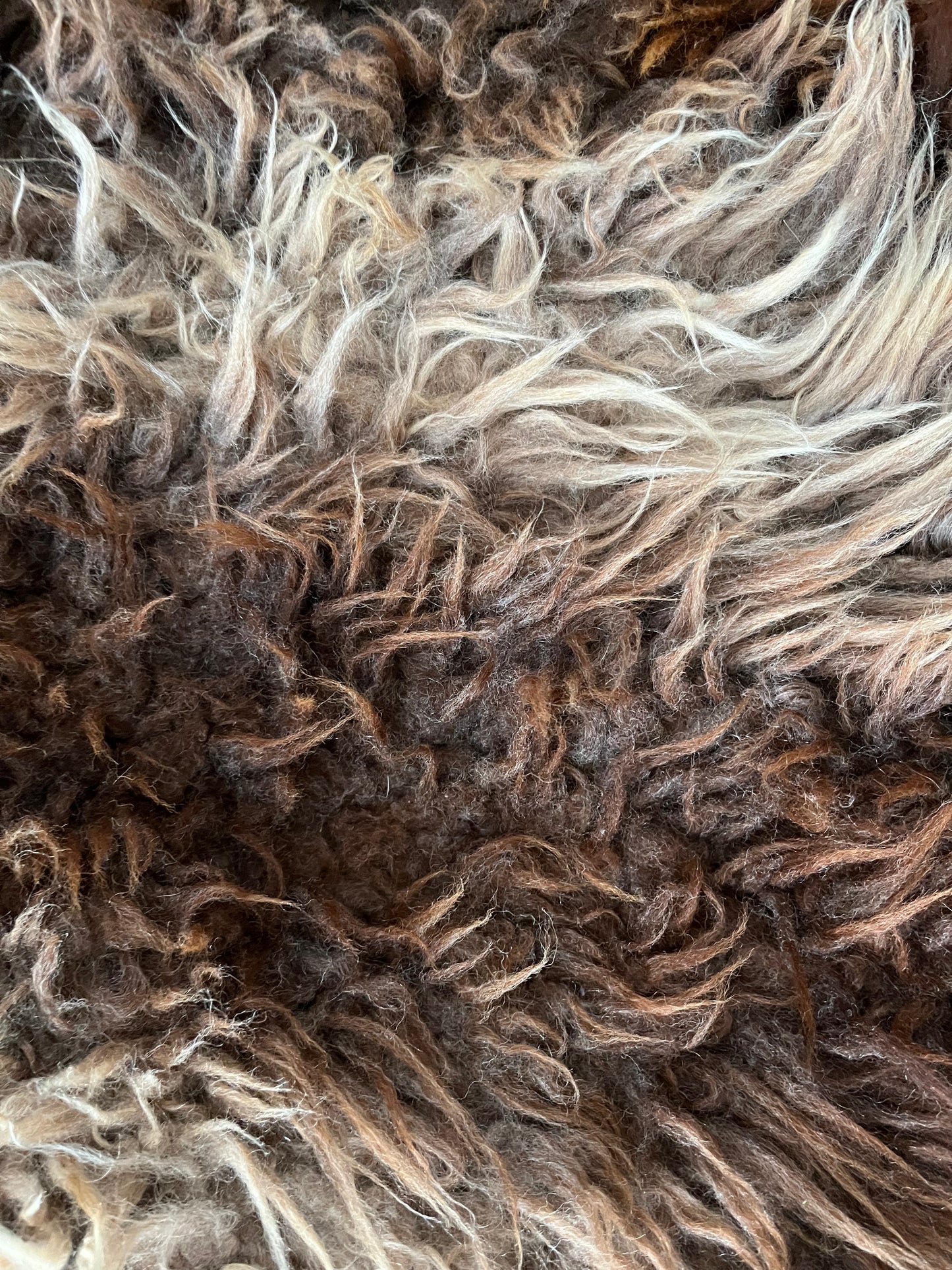 Brown and Beautiful Sheepskin Rug