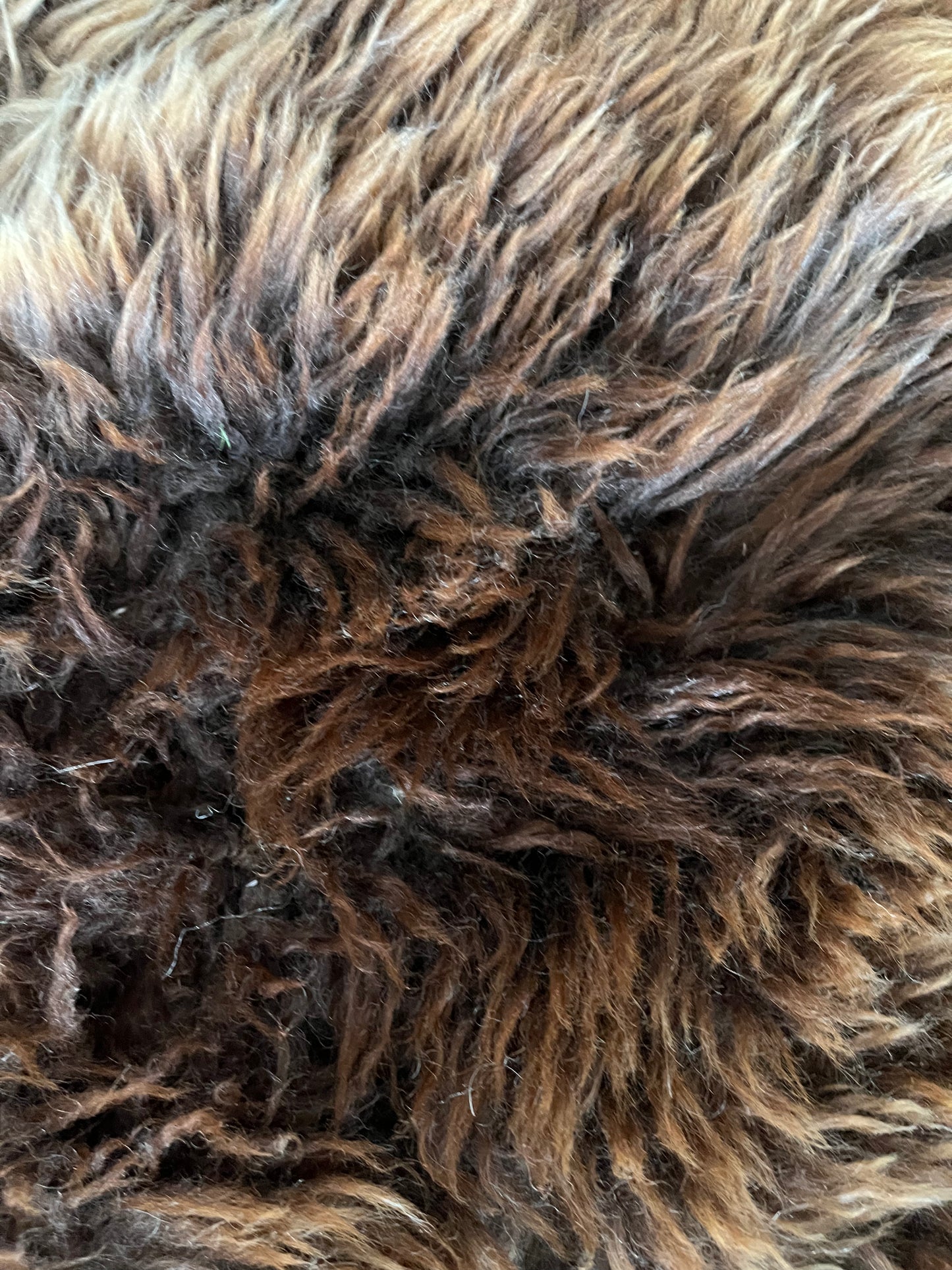 Brown and Beautiful Sheepskin Rug