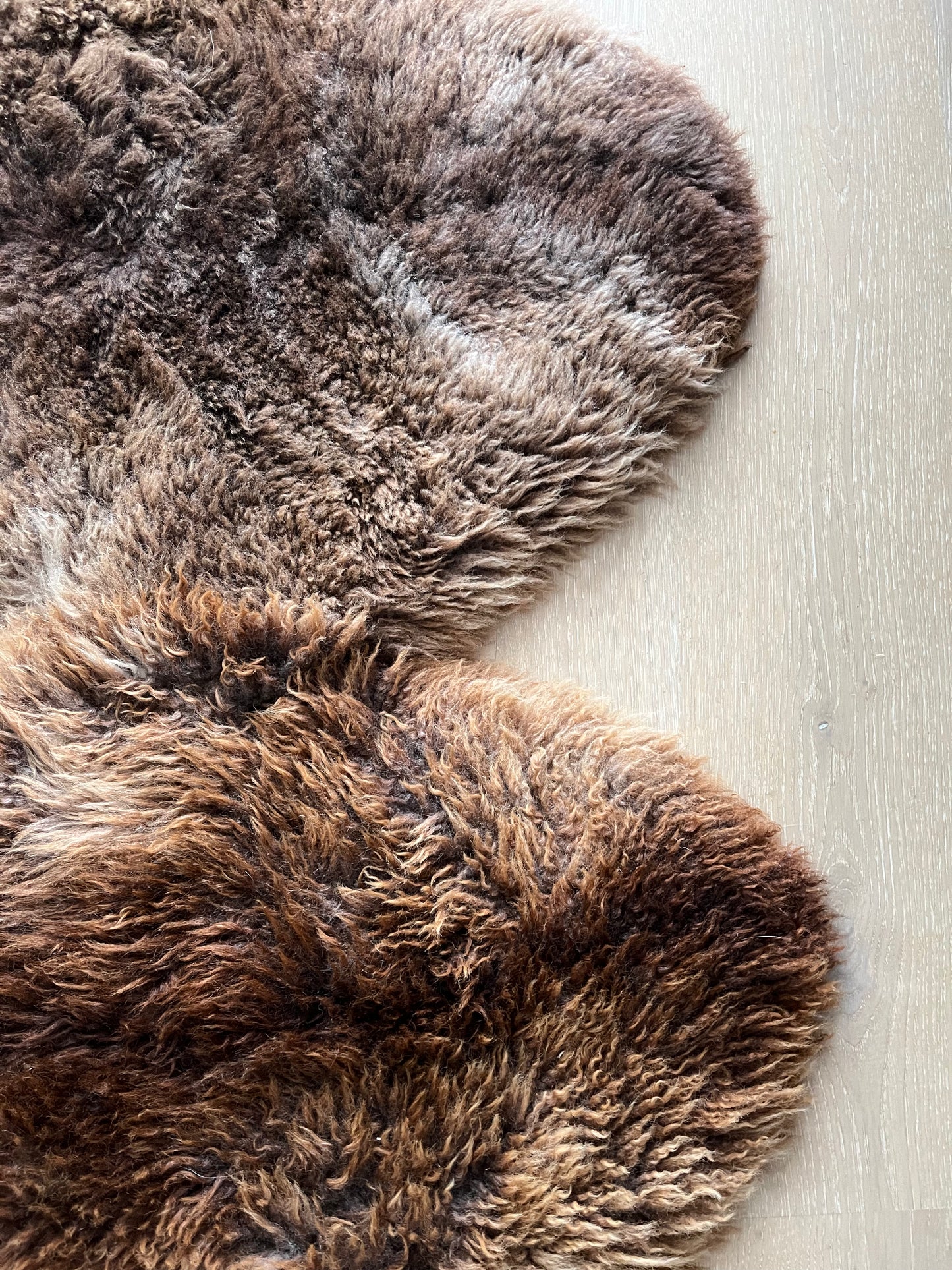 Brown and Beautiful Sheepskin Rug