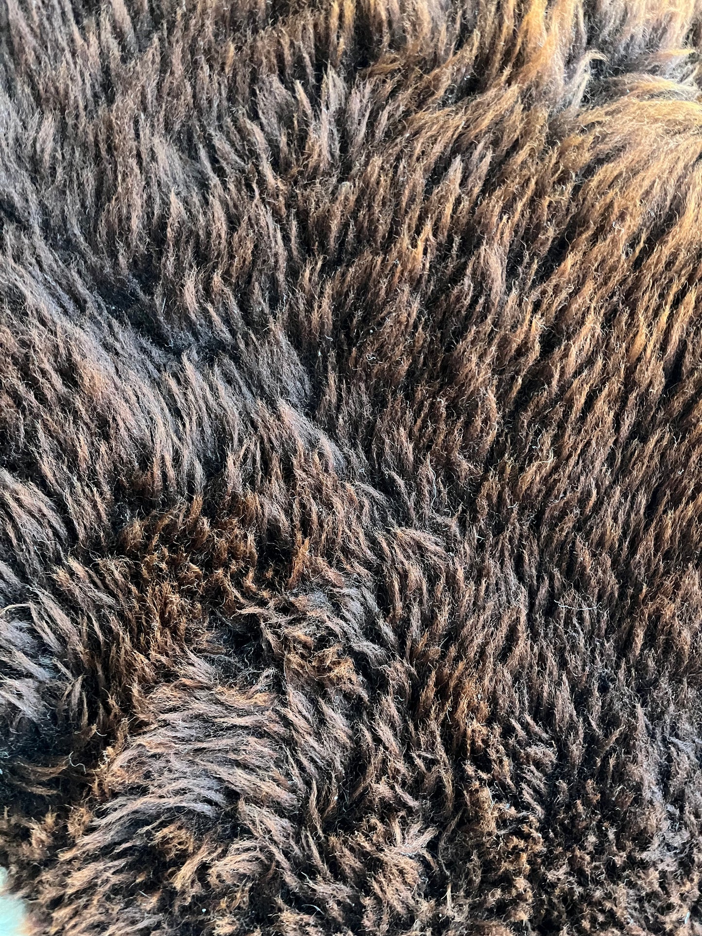 Brown and Beautiful Sheepskin Rug