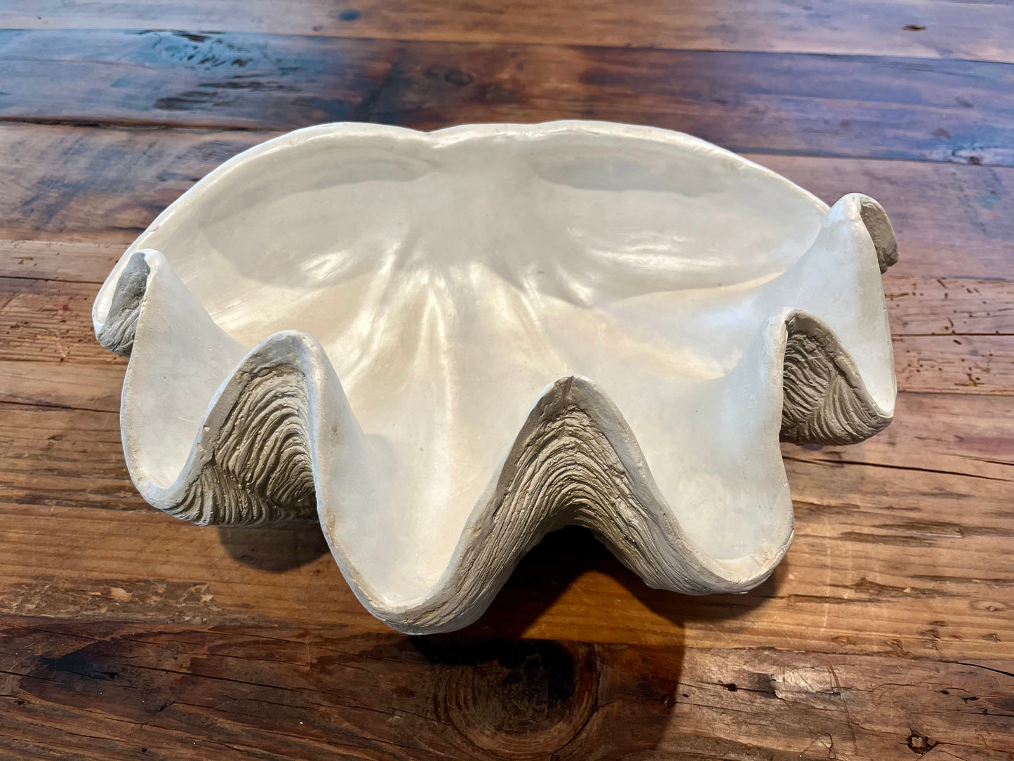 Clam Shell Decorative Bowl