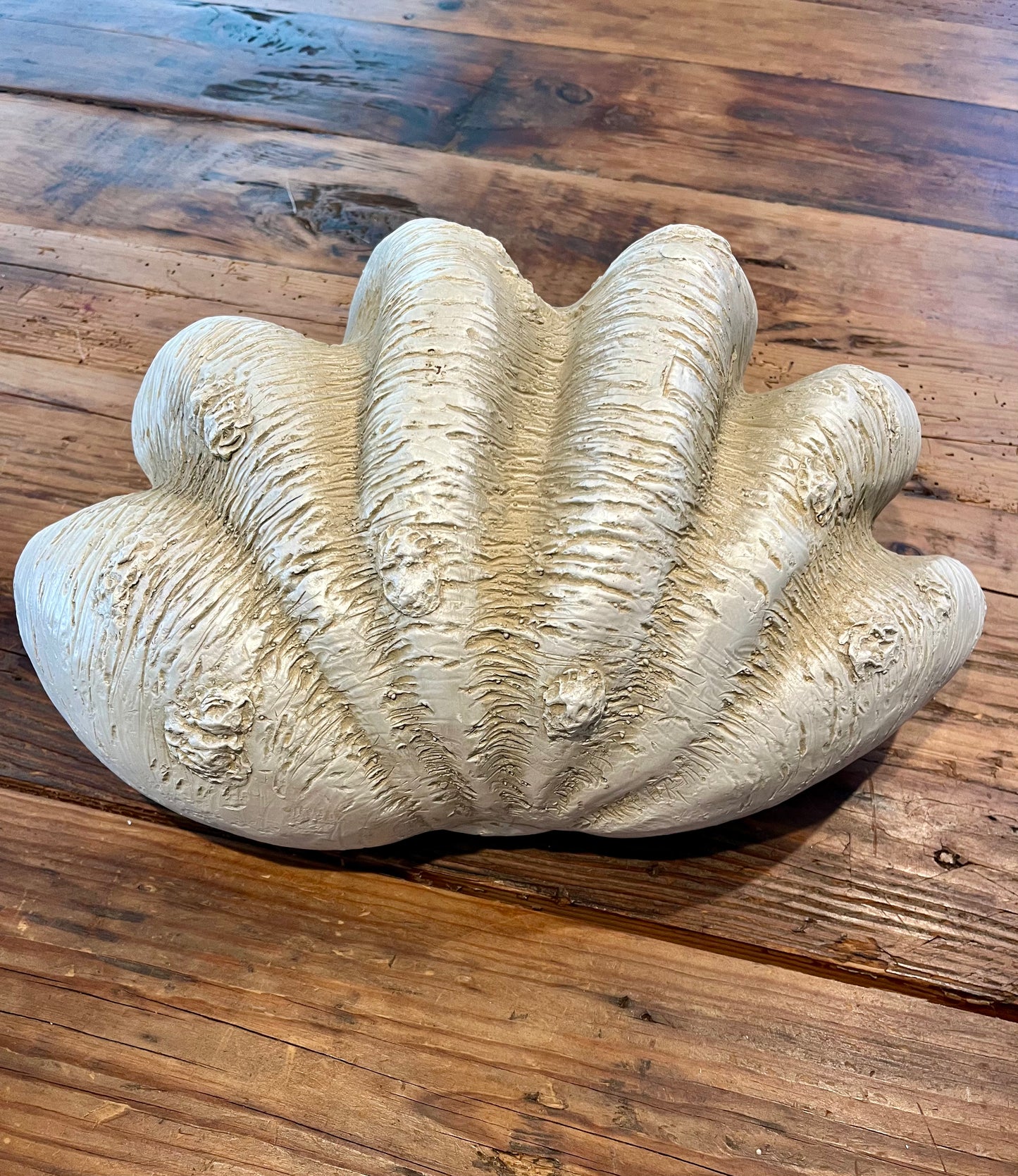 Clam Shell Decorative Bowl