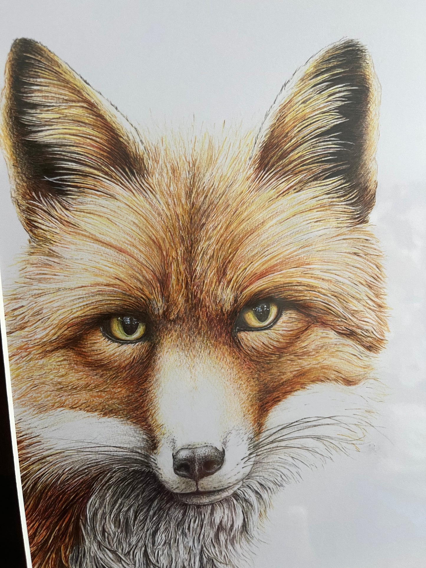 ' Grace' Artwork by Wild Honey Art