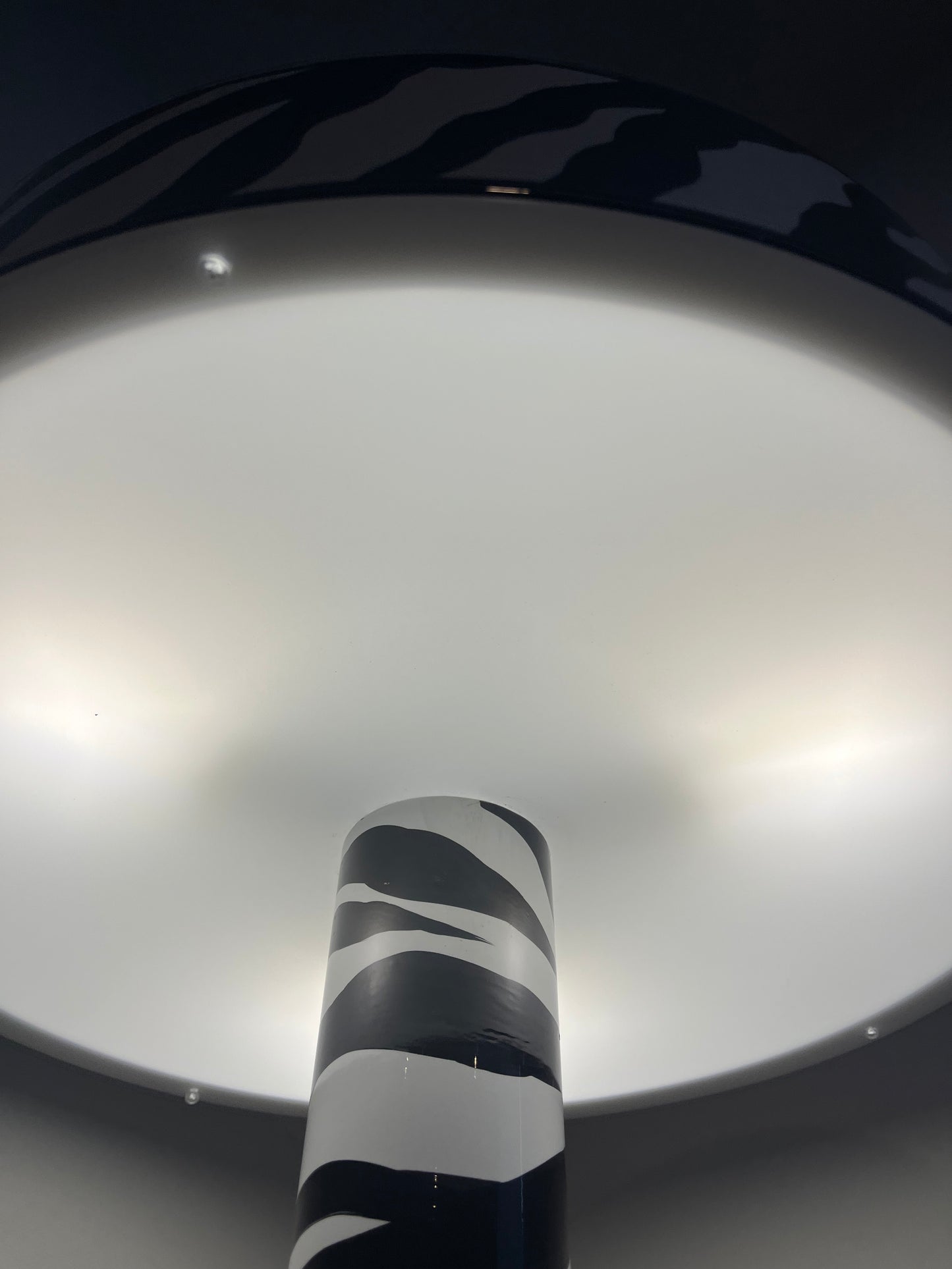 Zebra Floor Lamp