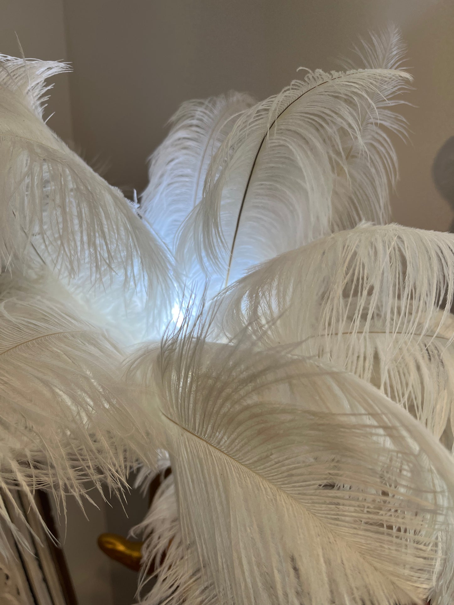 Gorgeous Feather Table Lamp