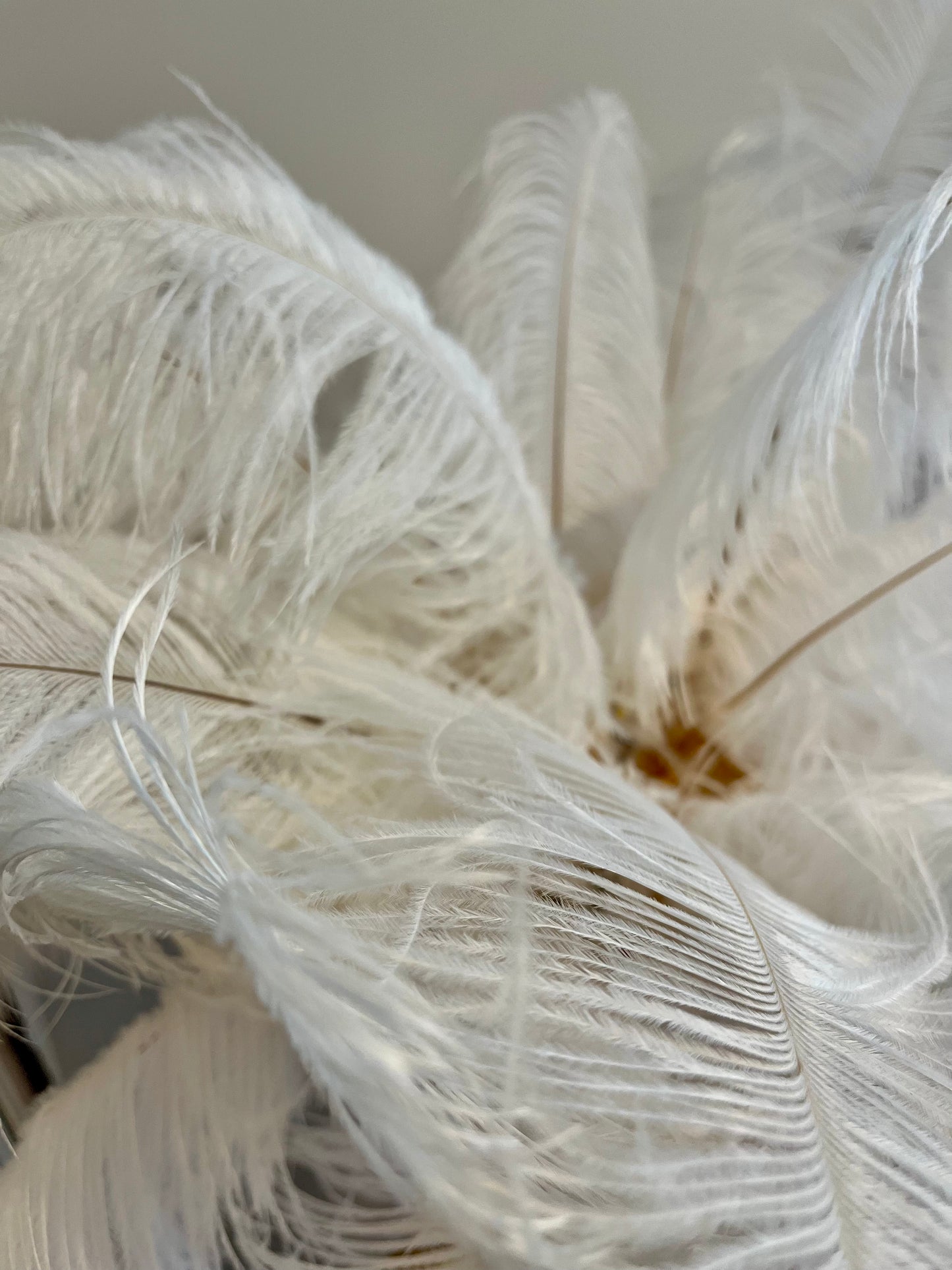 Gorgeous Feather Table Lamp