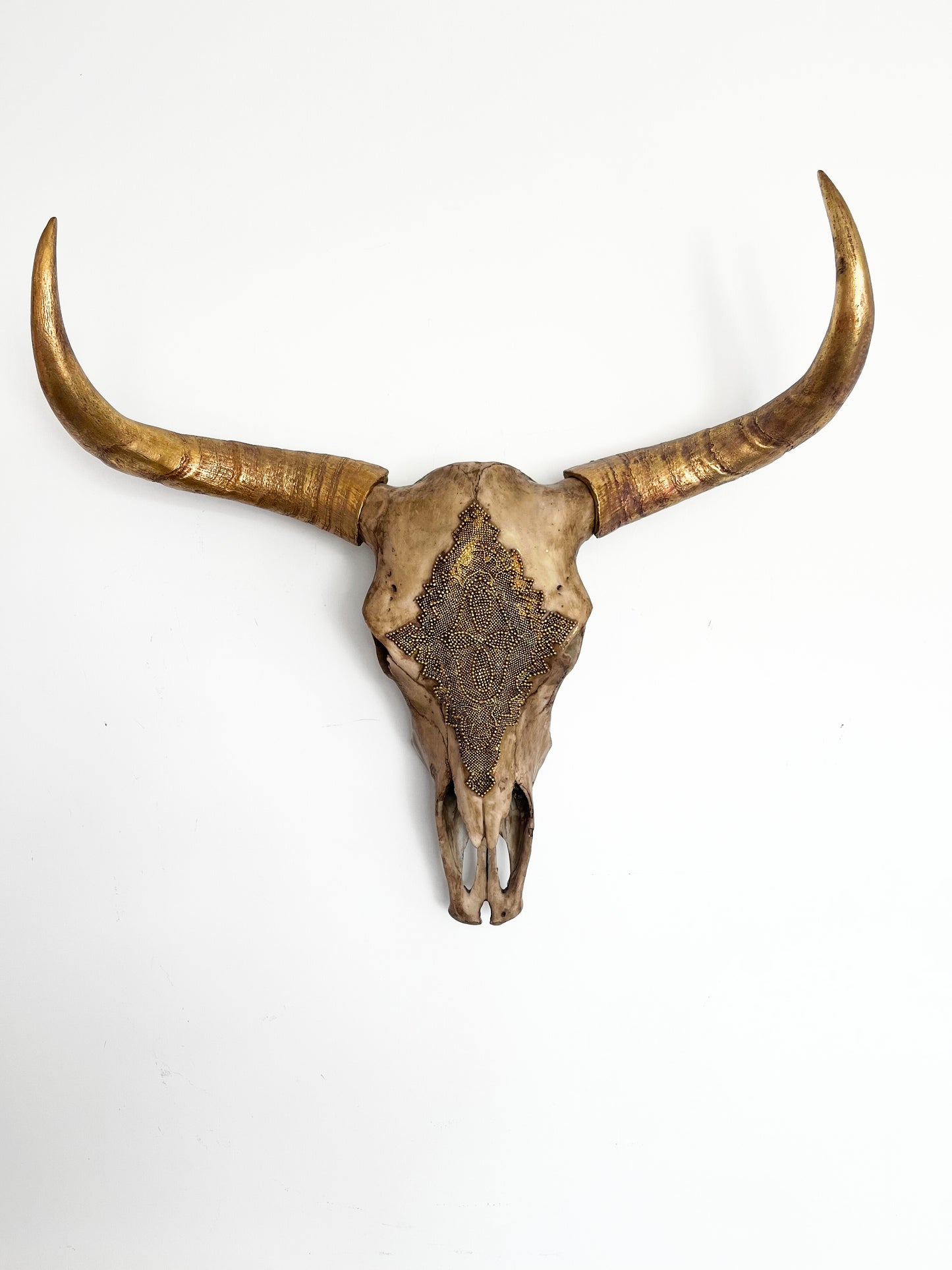 Stunning Decorative Animal Head
