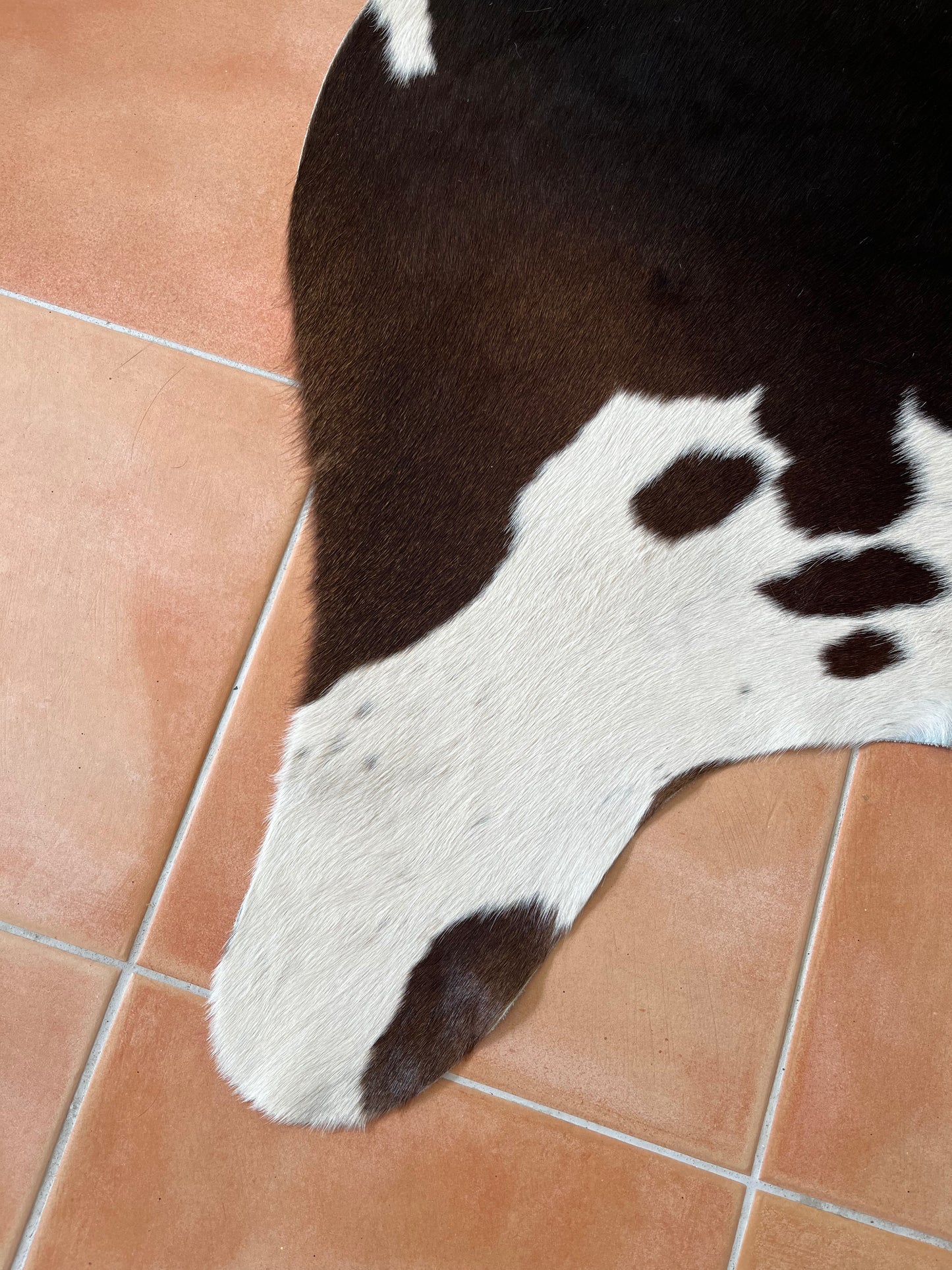 Beautiful Cowhide Rug