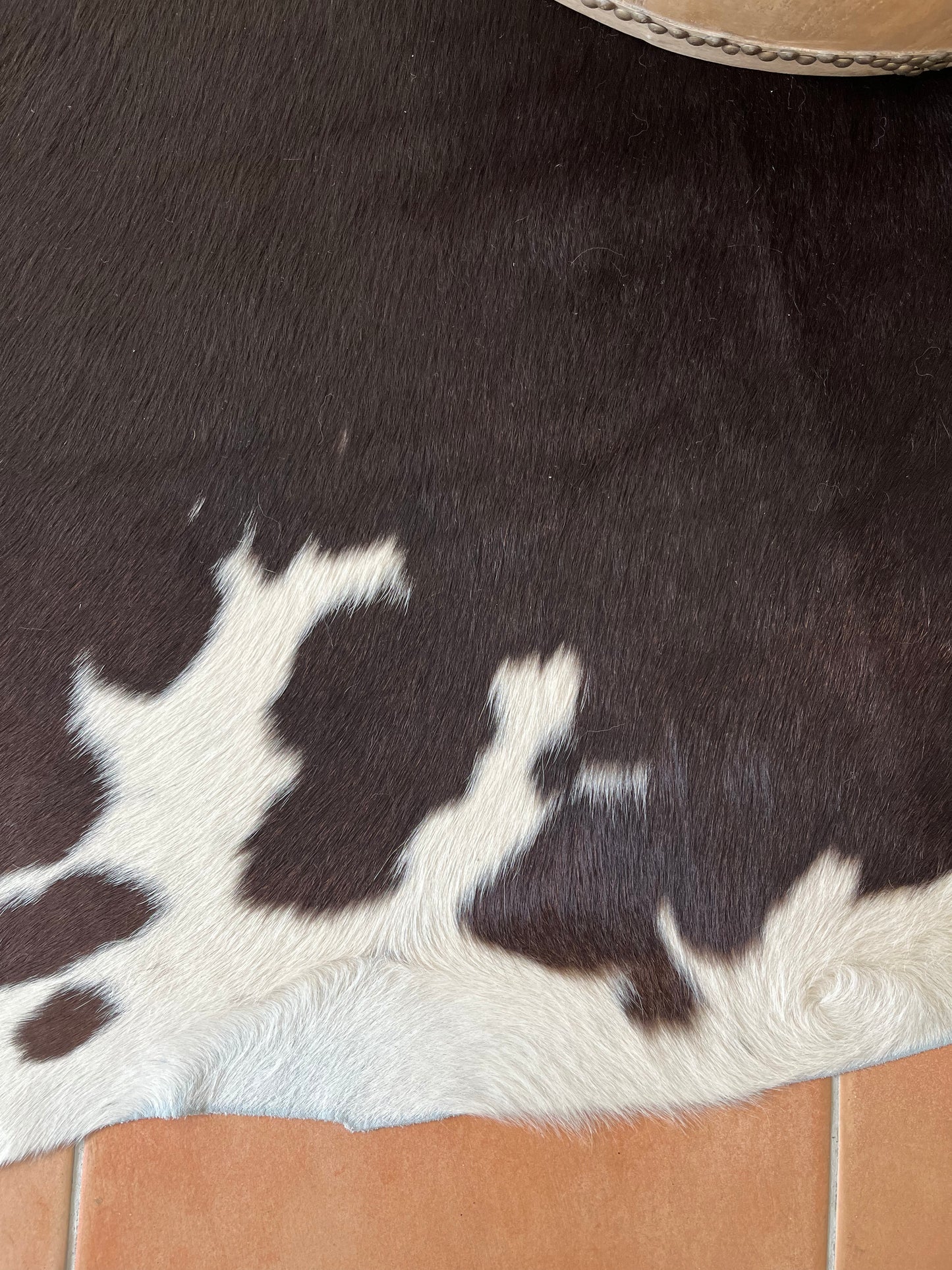 Beautiful Cowhide Rug